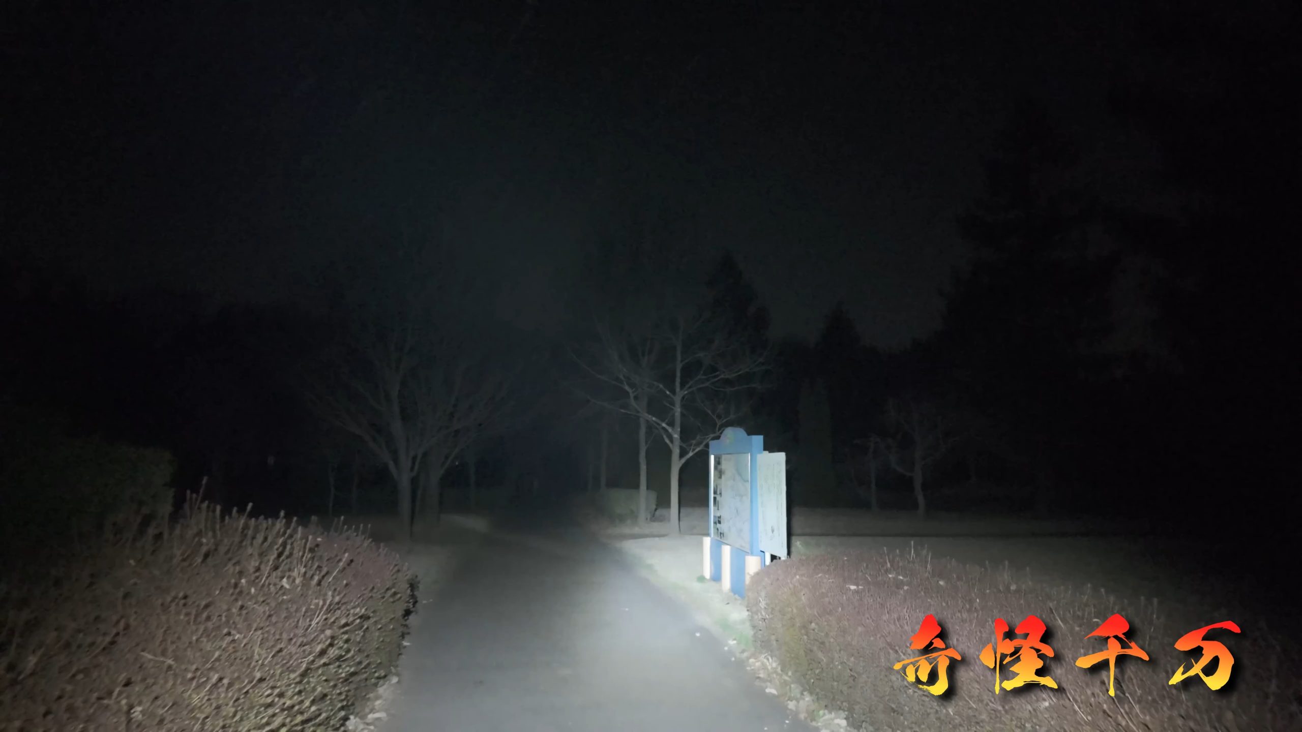 SnapShot(478).jpg