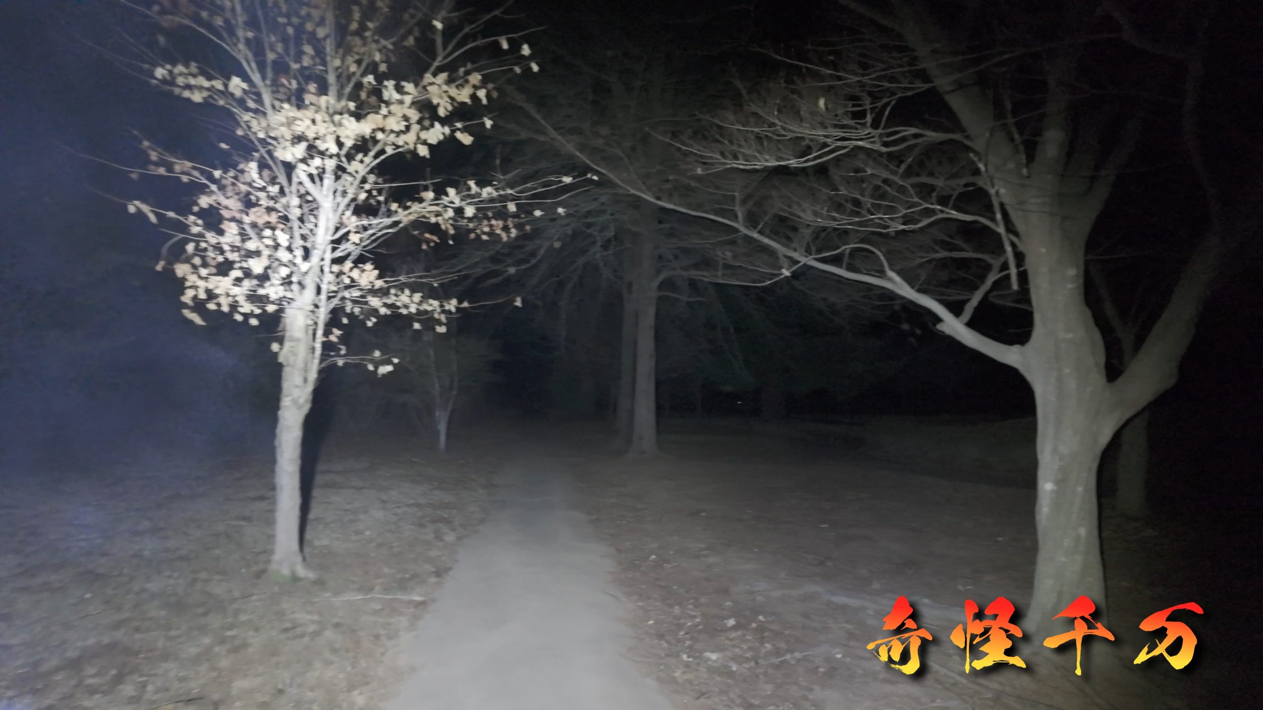 SnapShot(491).jpg