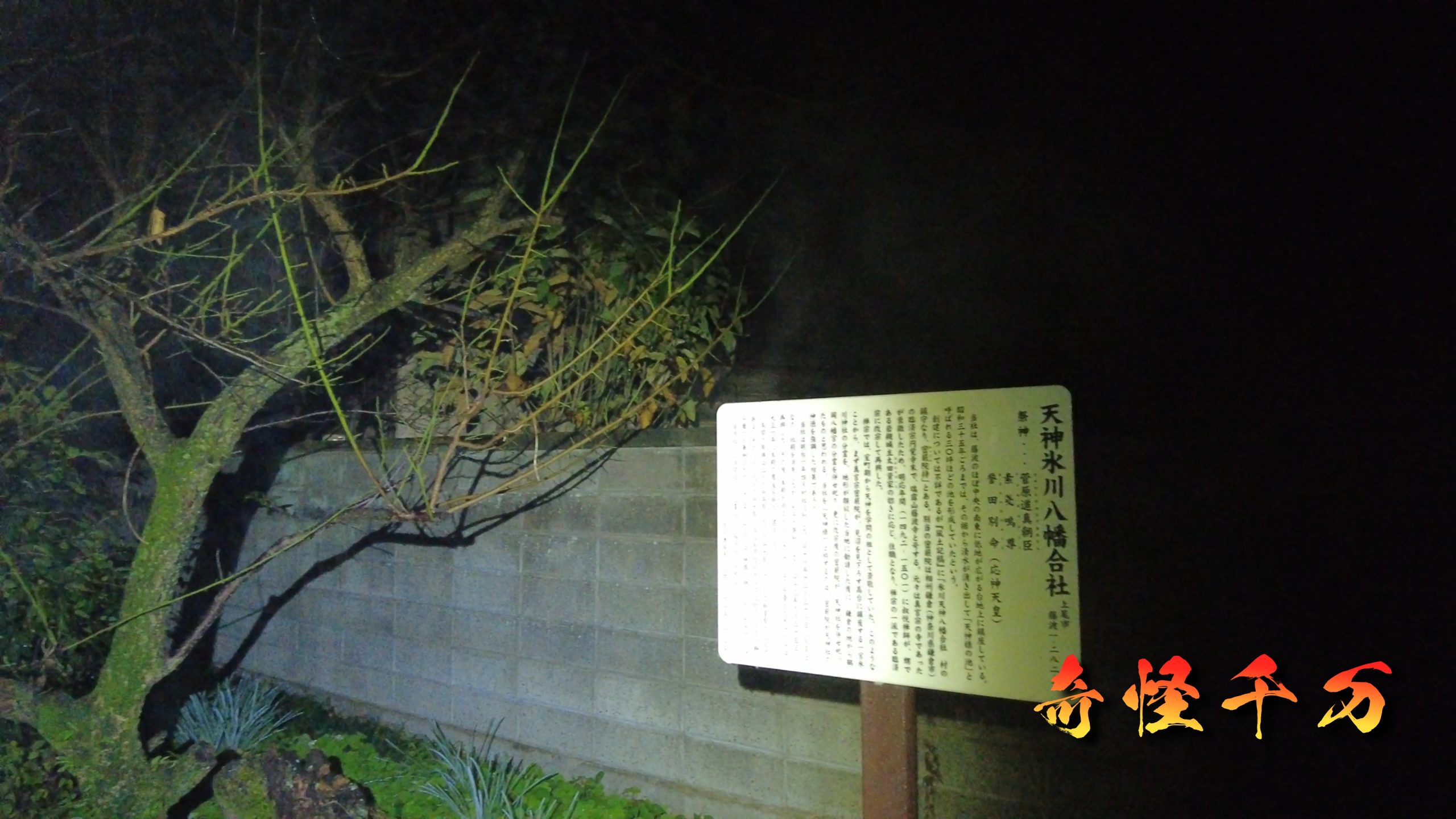 SnapShot(508).jpg