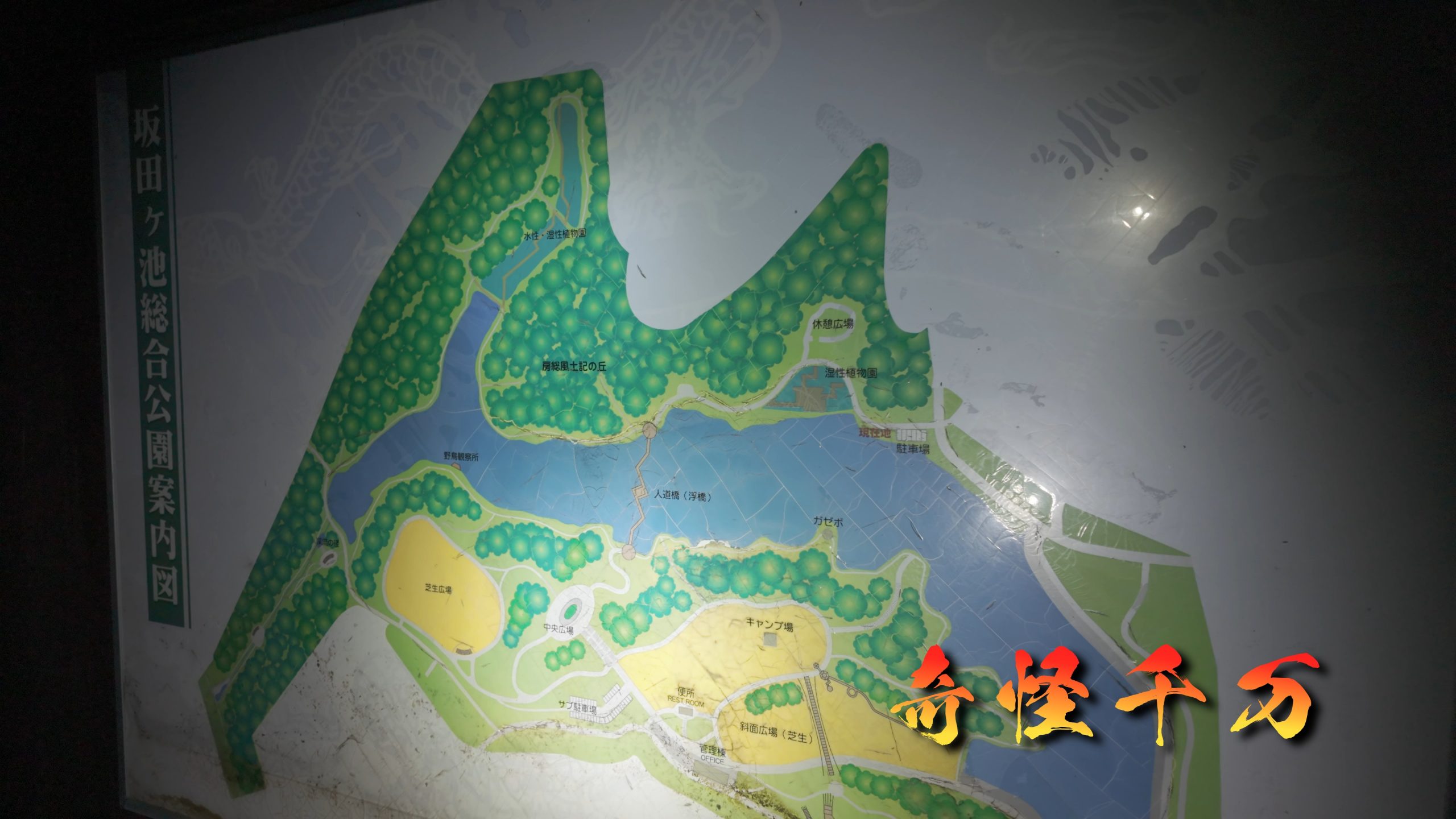 SnapShot(565).jpg