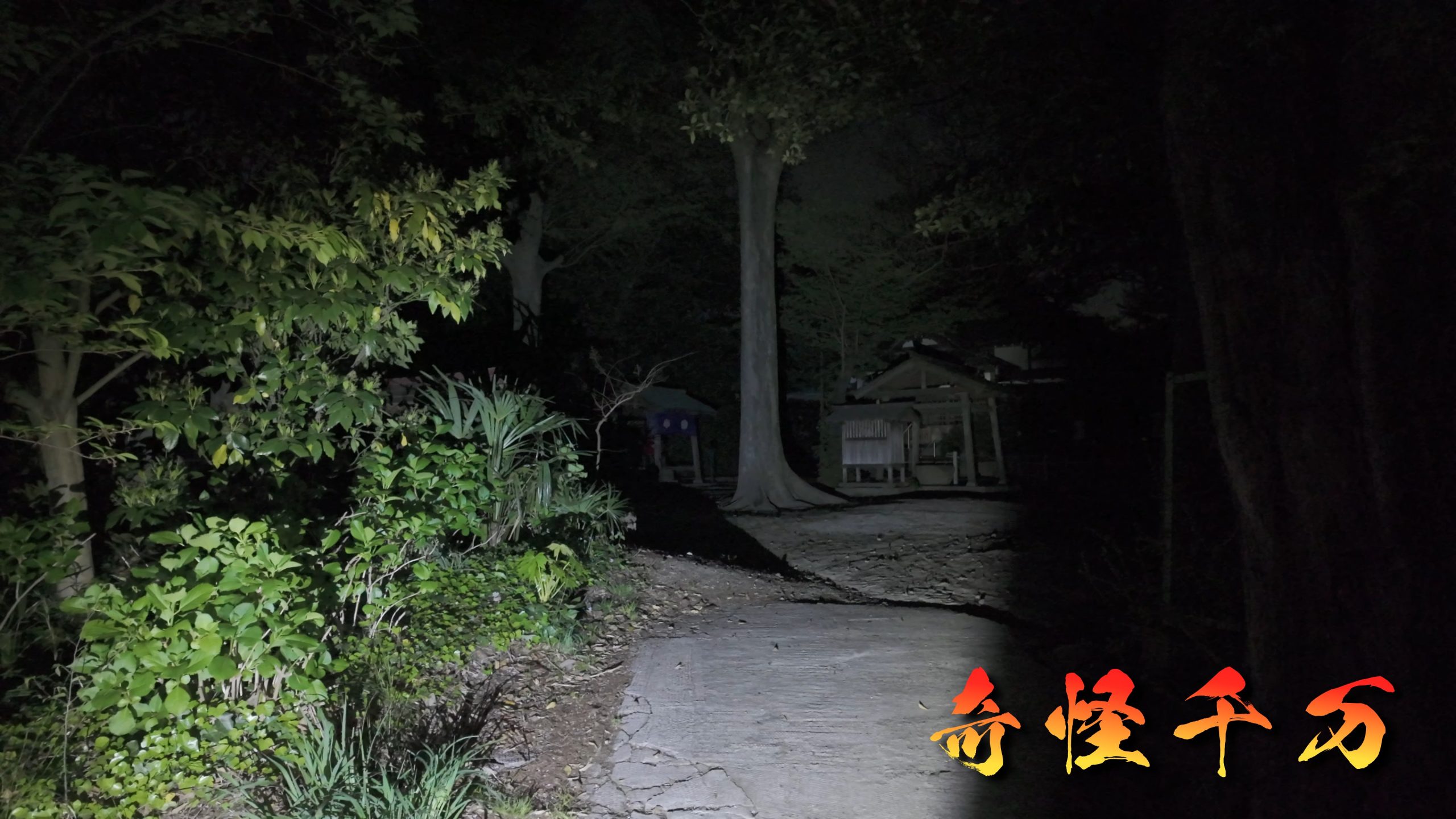 自由の橋 周辺