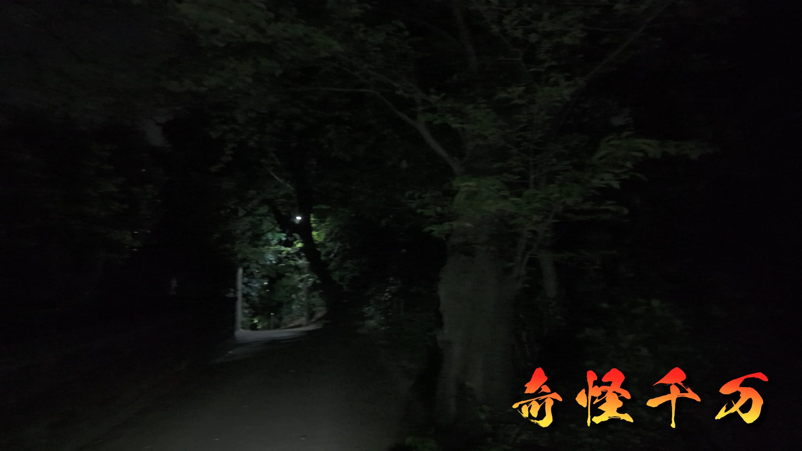 自由の橋 夜道