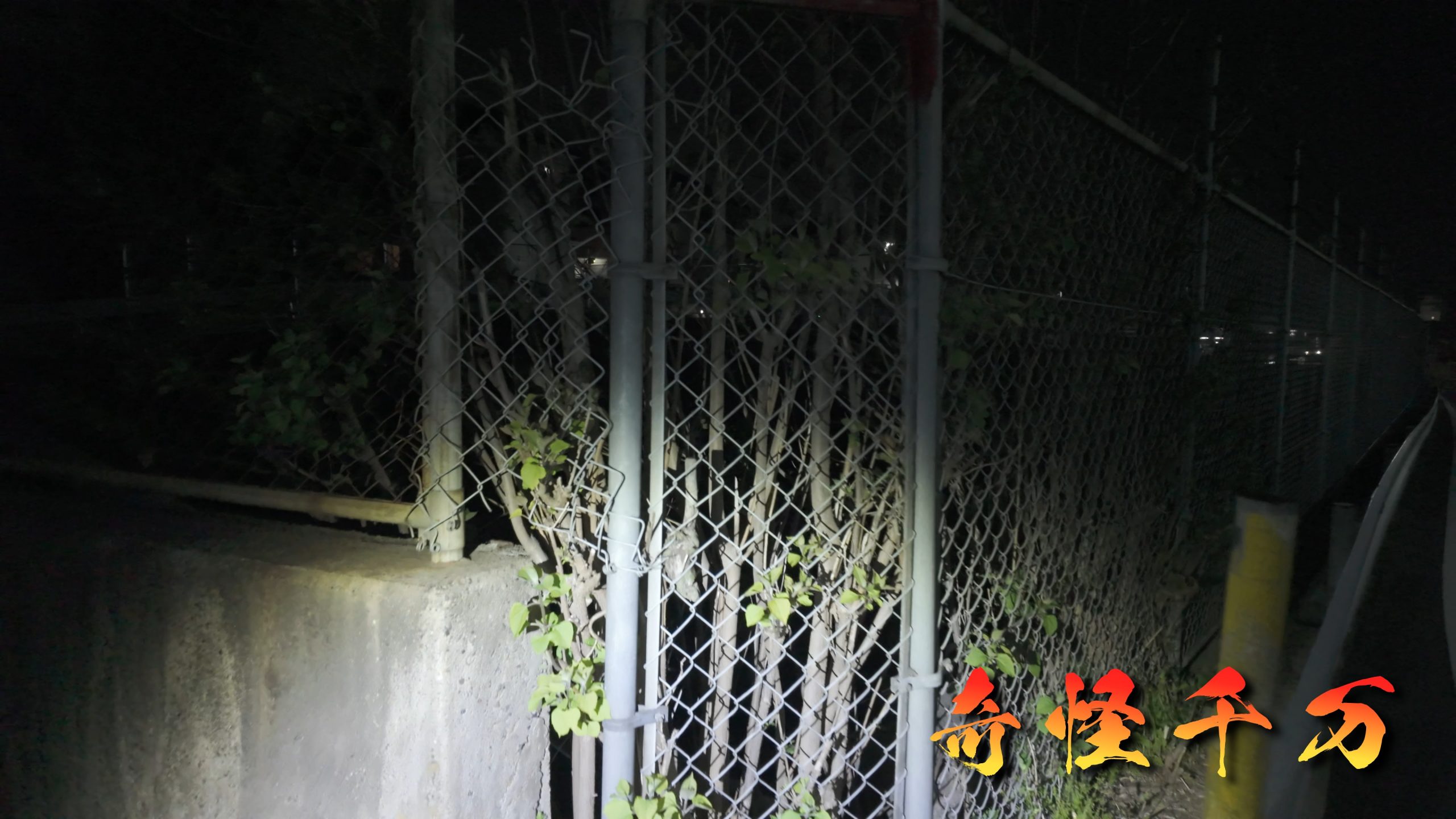 自由の橋 住宅地側