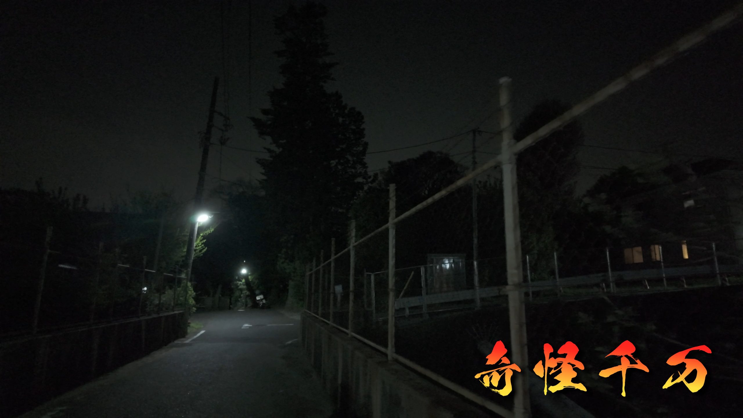 自由の橋 防犯カメラ