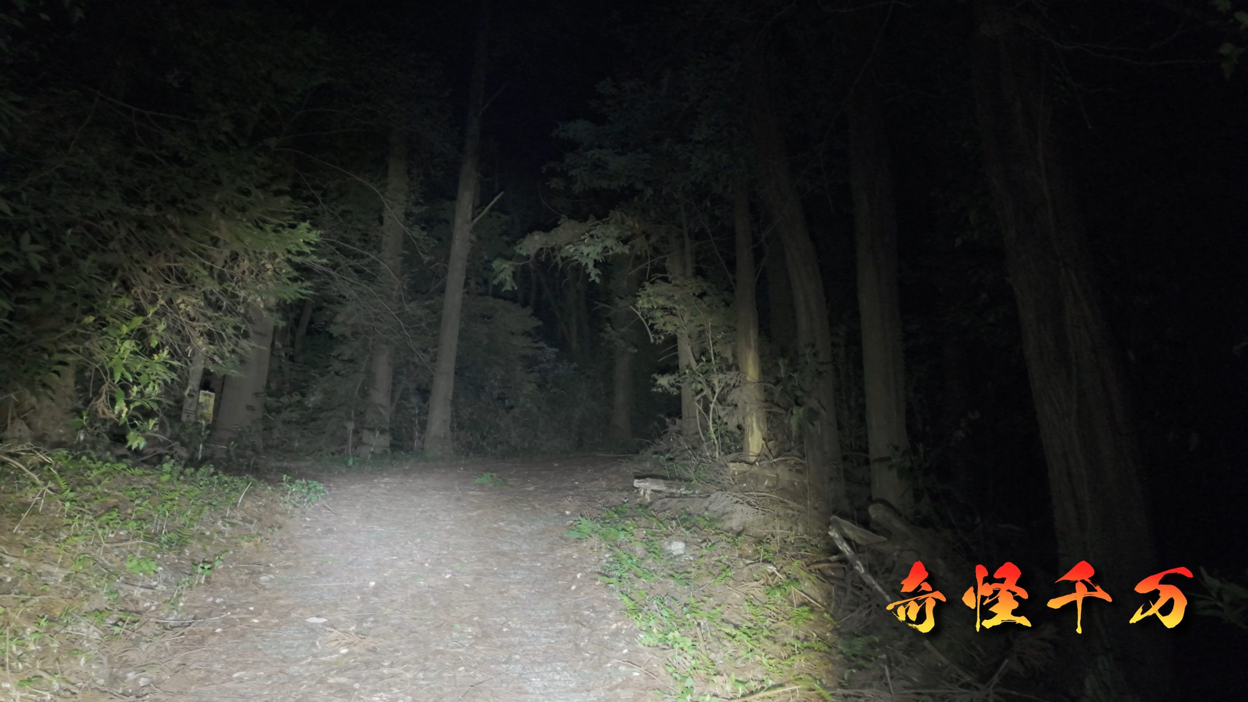 SnapShot(625).jpg