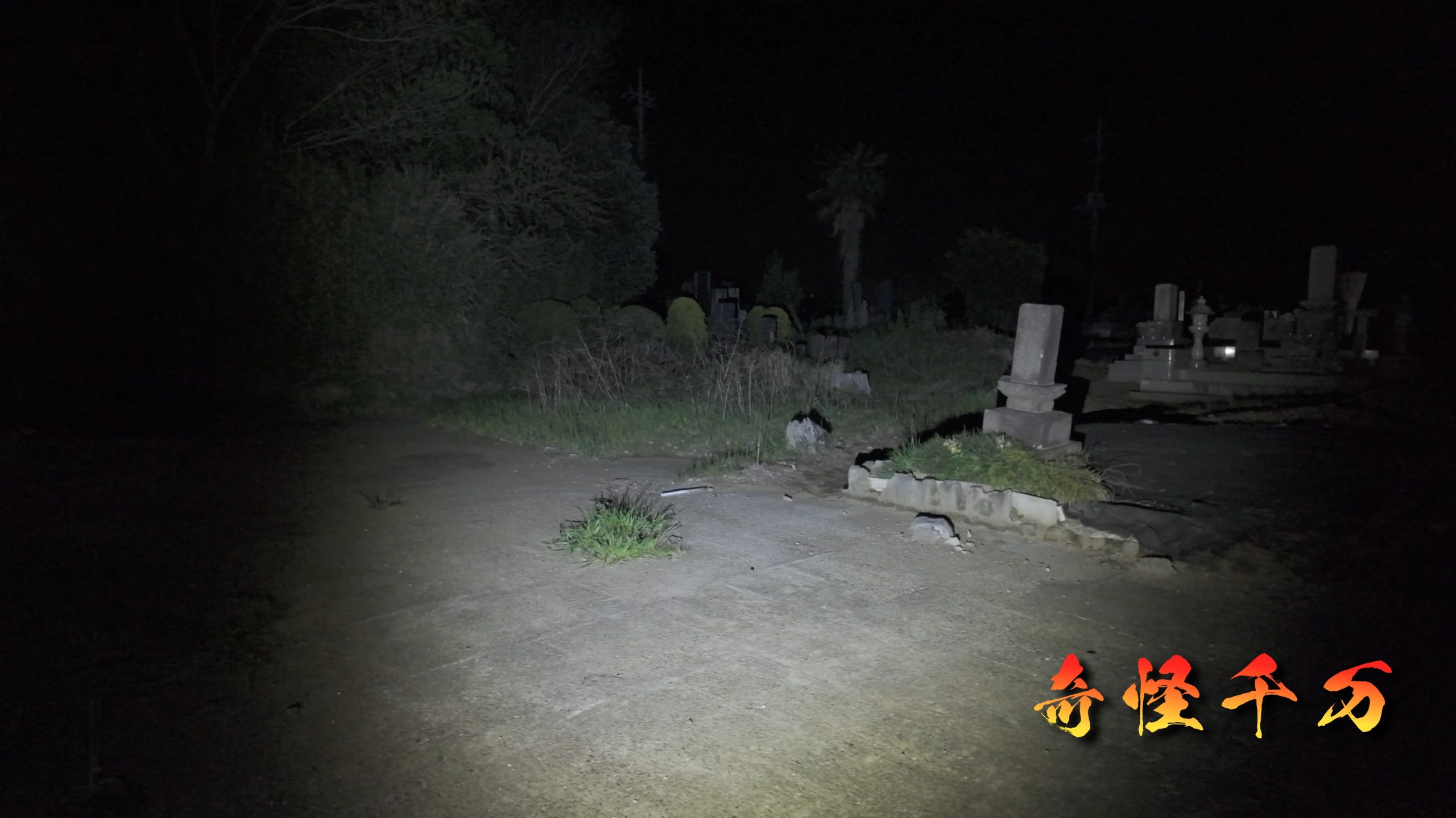 SnapShot(638).jpg