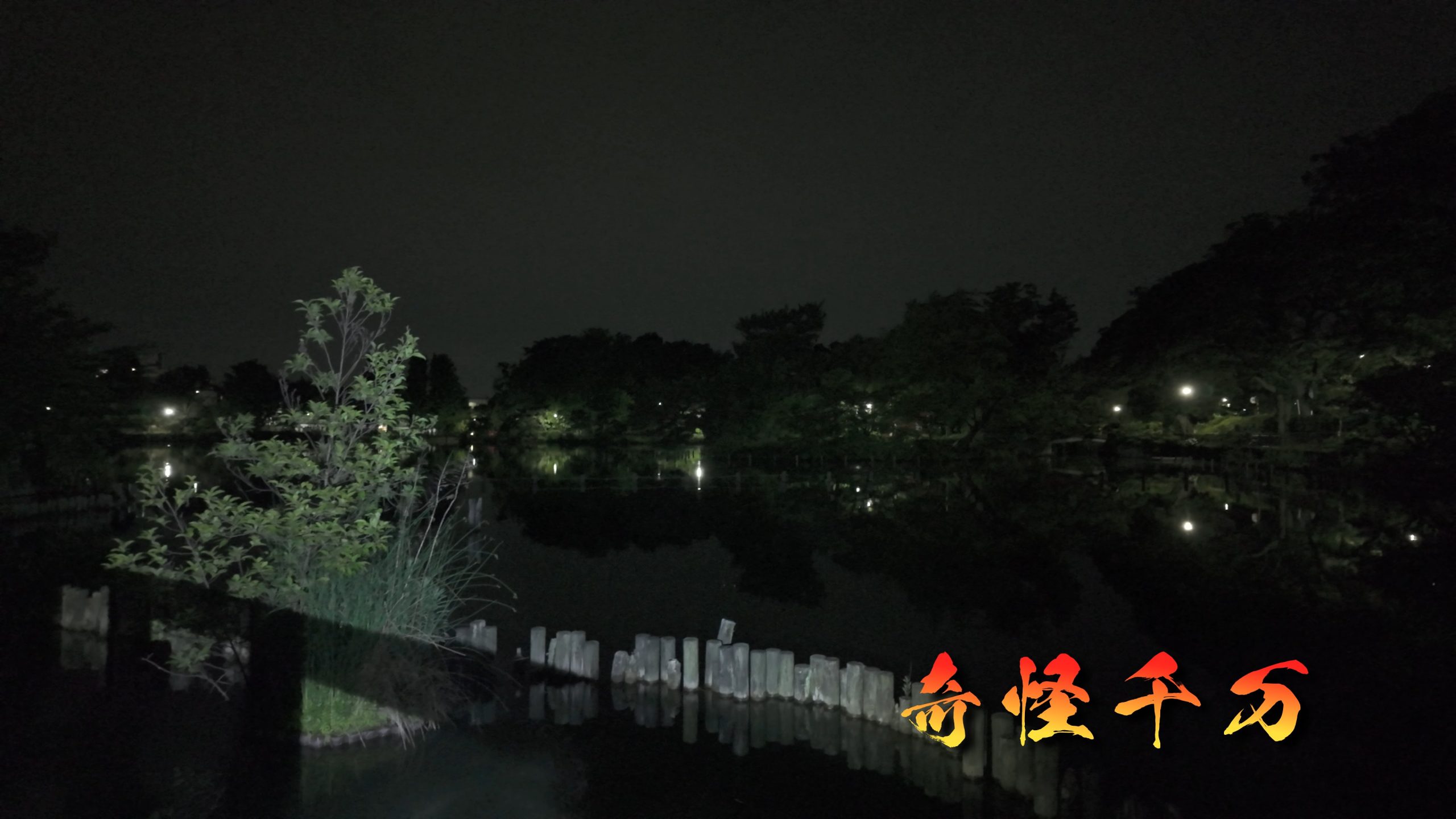 SnapShot(691).jpg