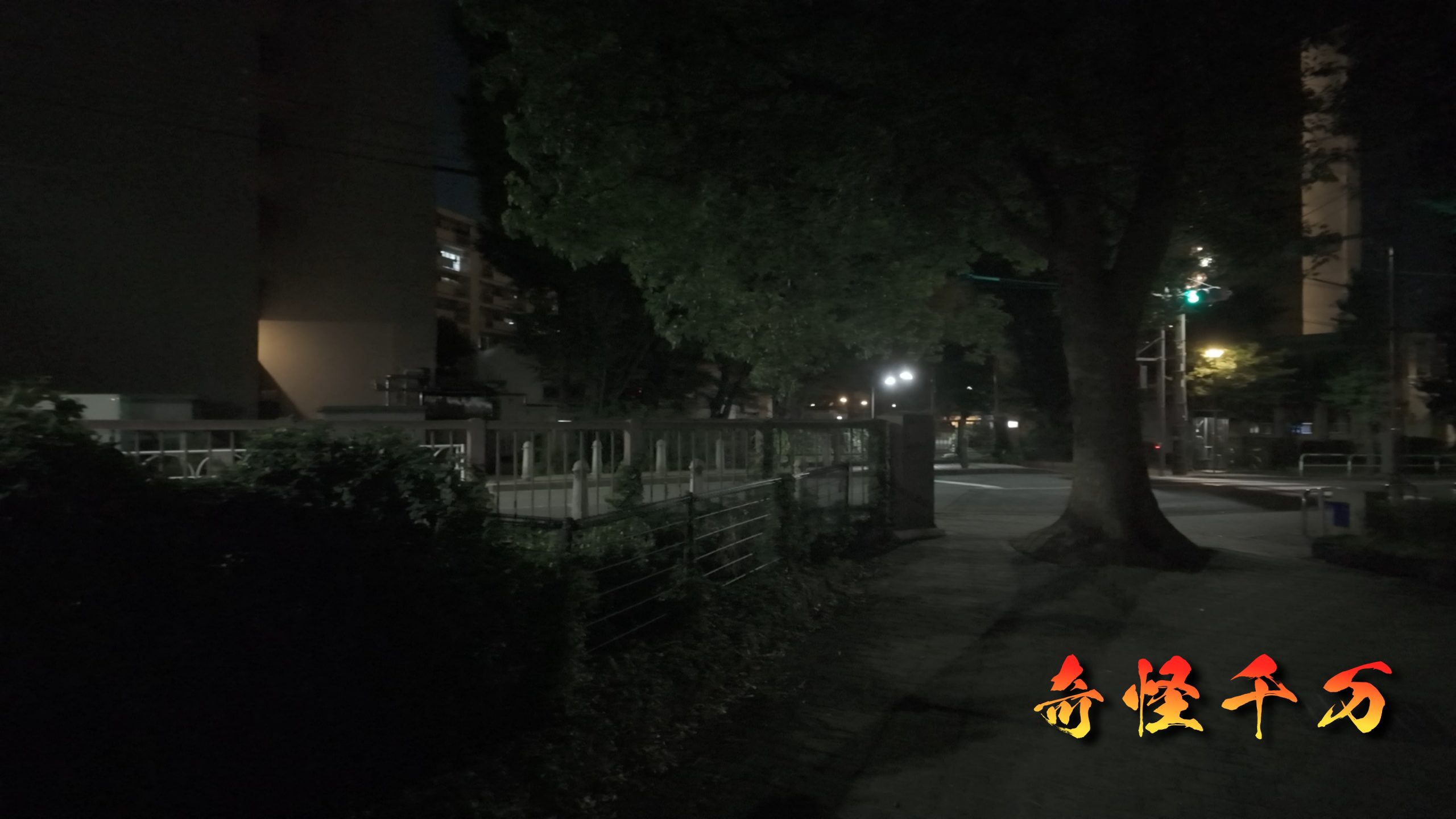 SnapShot(707).jpg