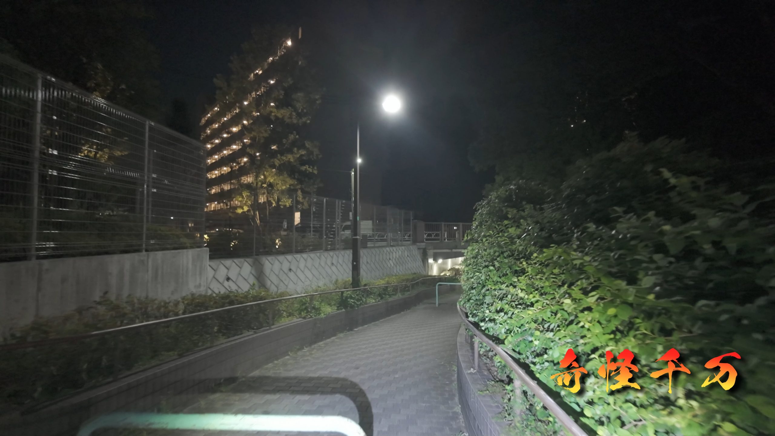 SnapShot(711).jpg