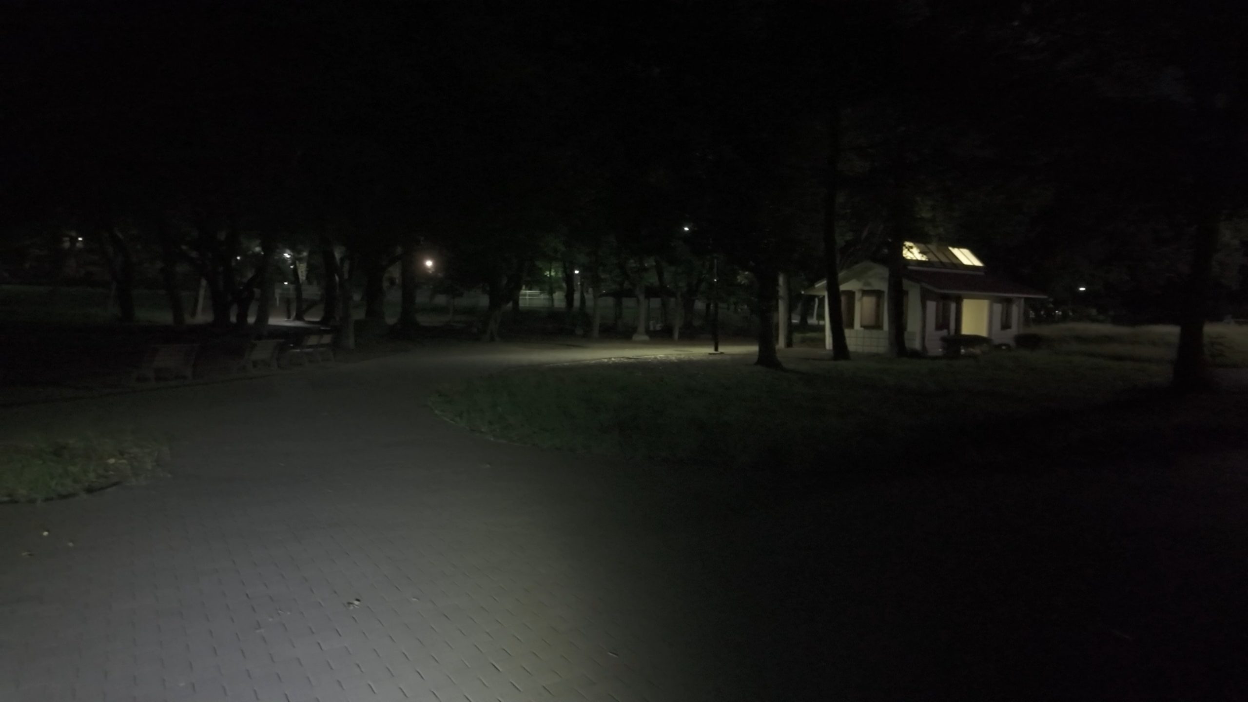SnapShot(734).jpg