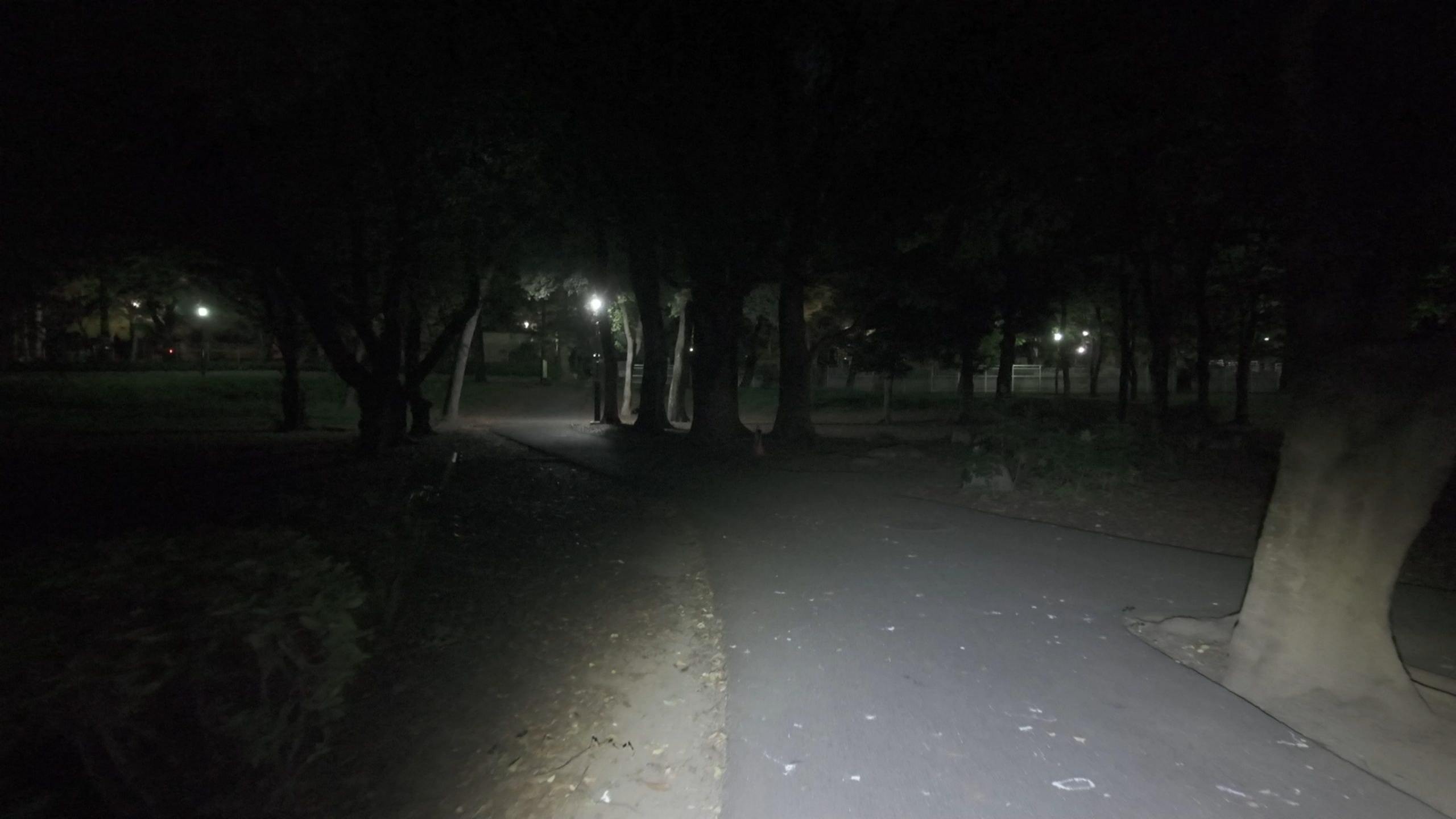 SnapShot(735).jpg