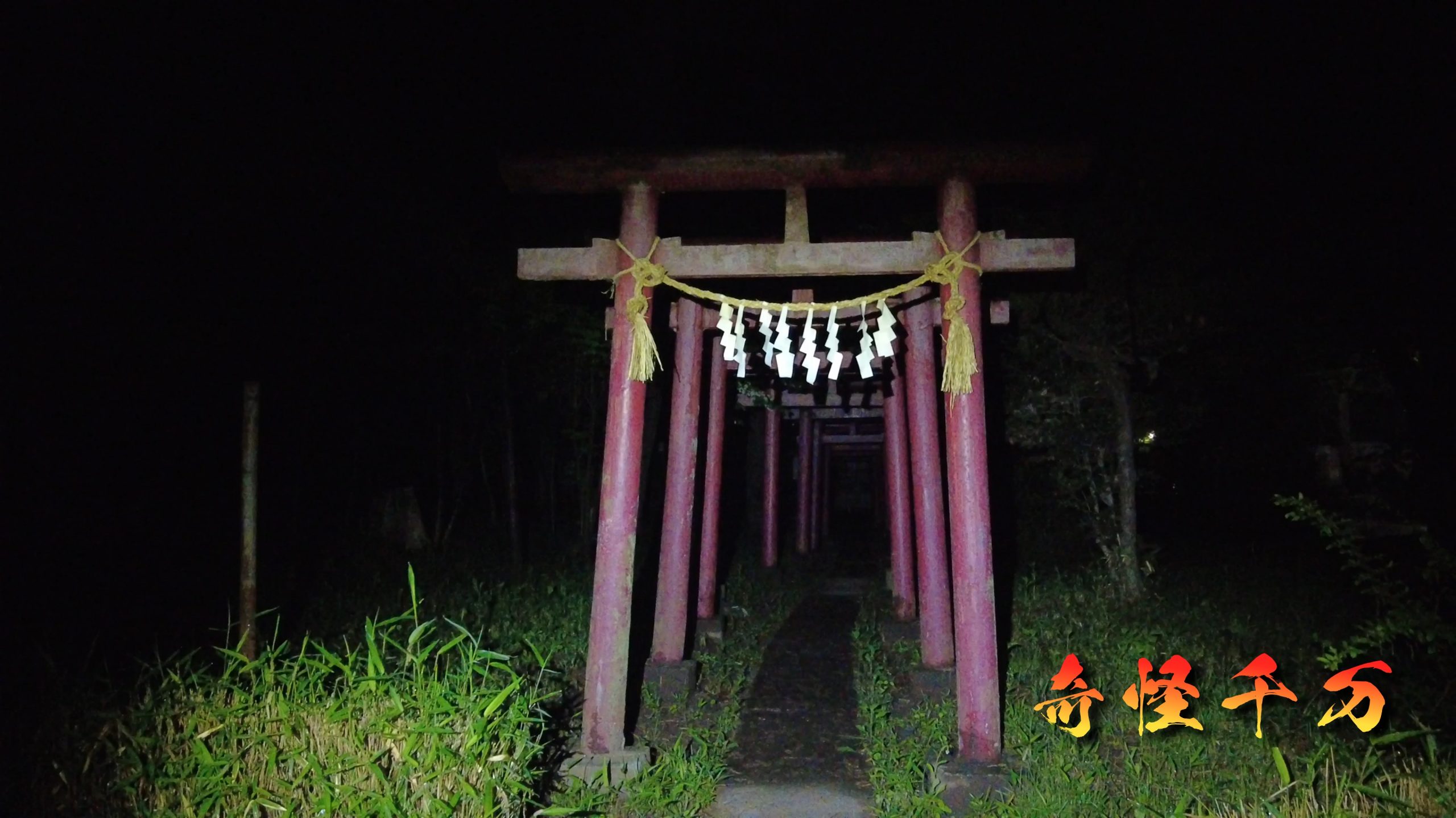SnapShot(779).jpg