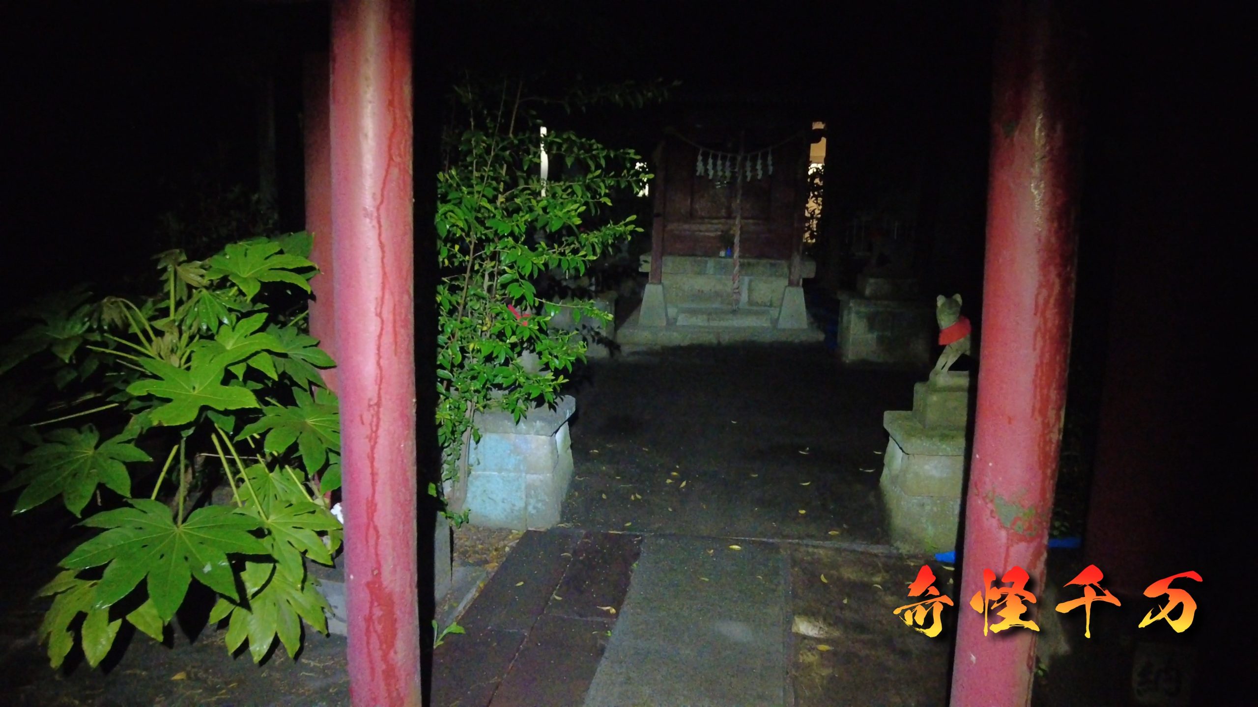 SnapShot(783).jpg