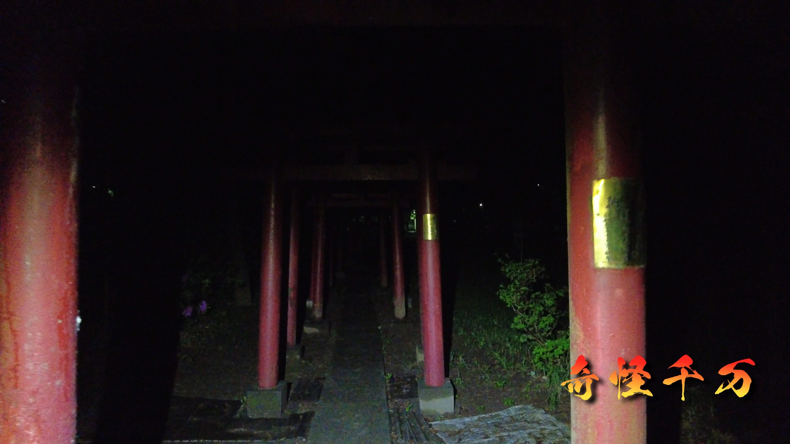 SnapShot(790).jpg