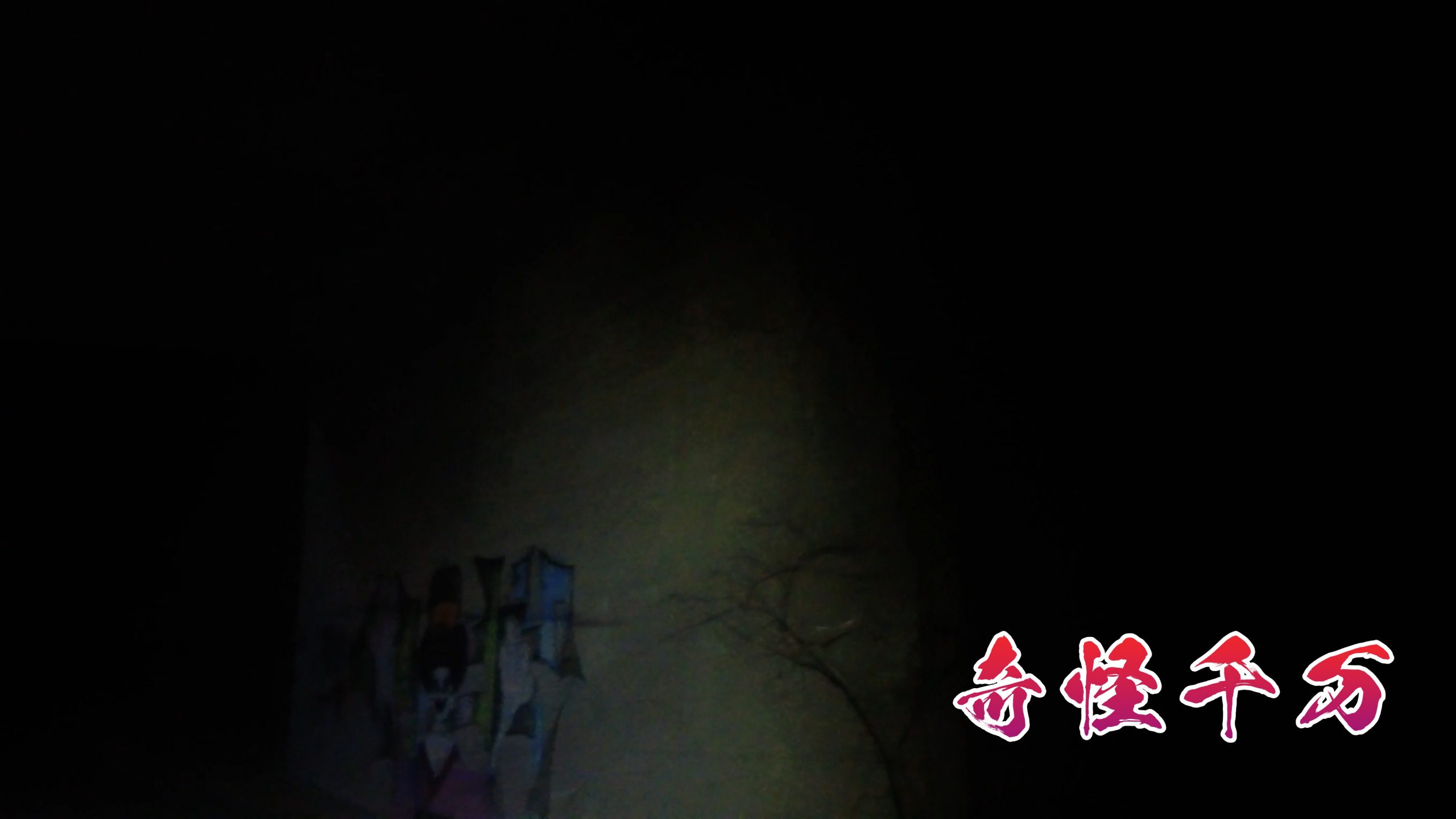 SnapShot(798).jpg