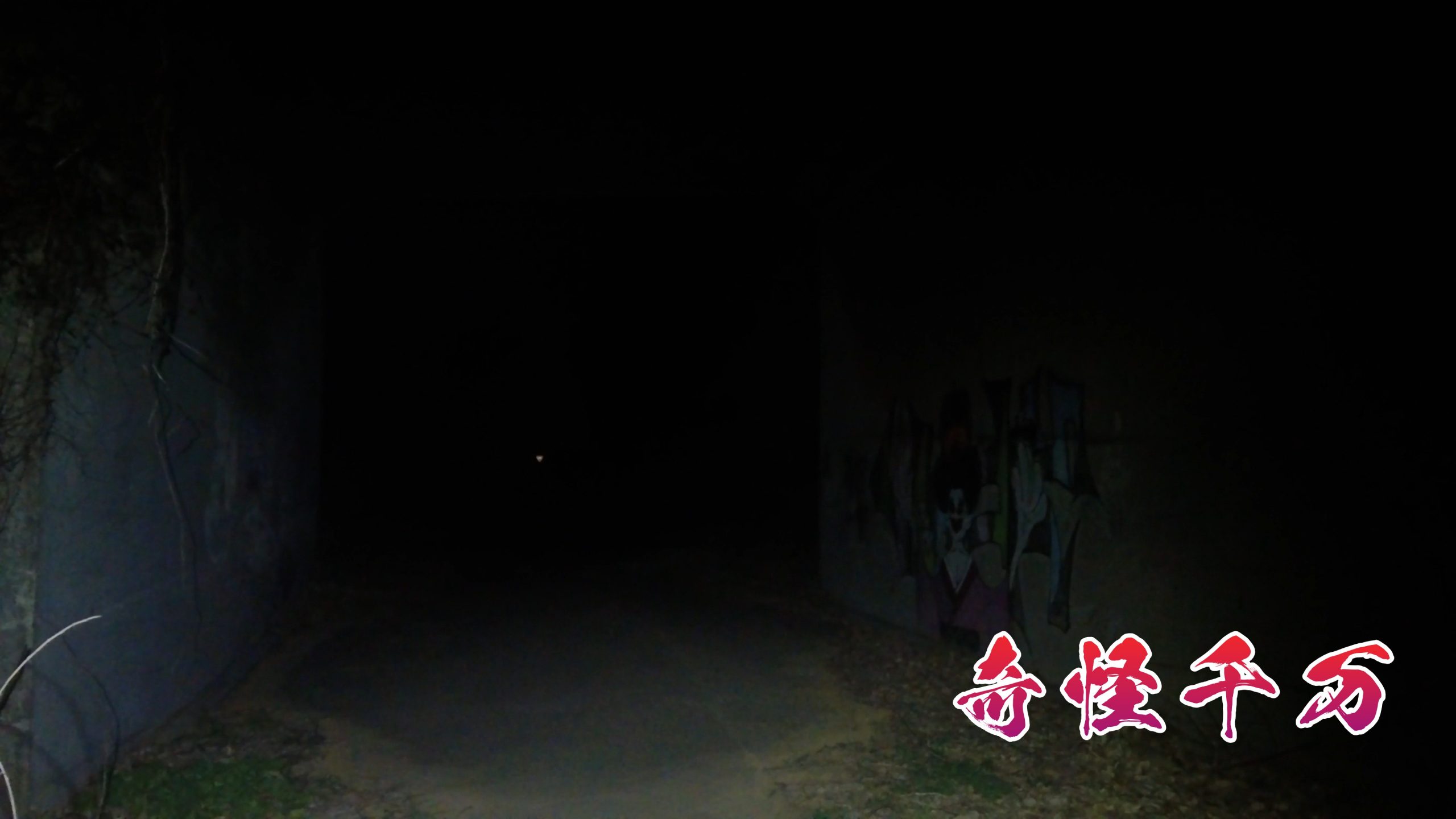 SnapShot(799).jpg
