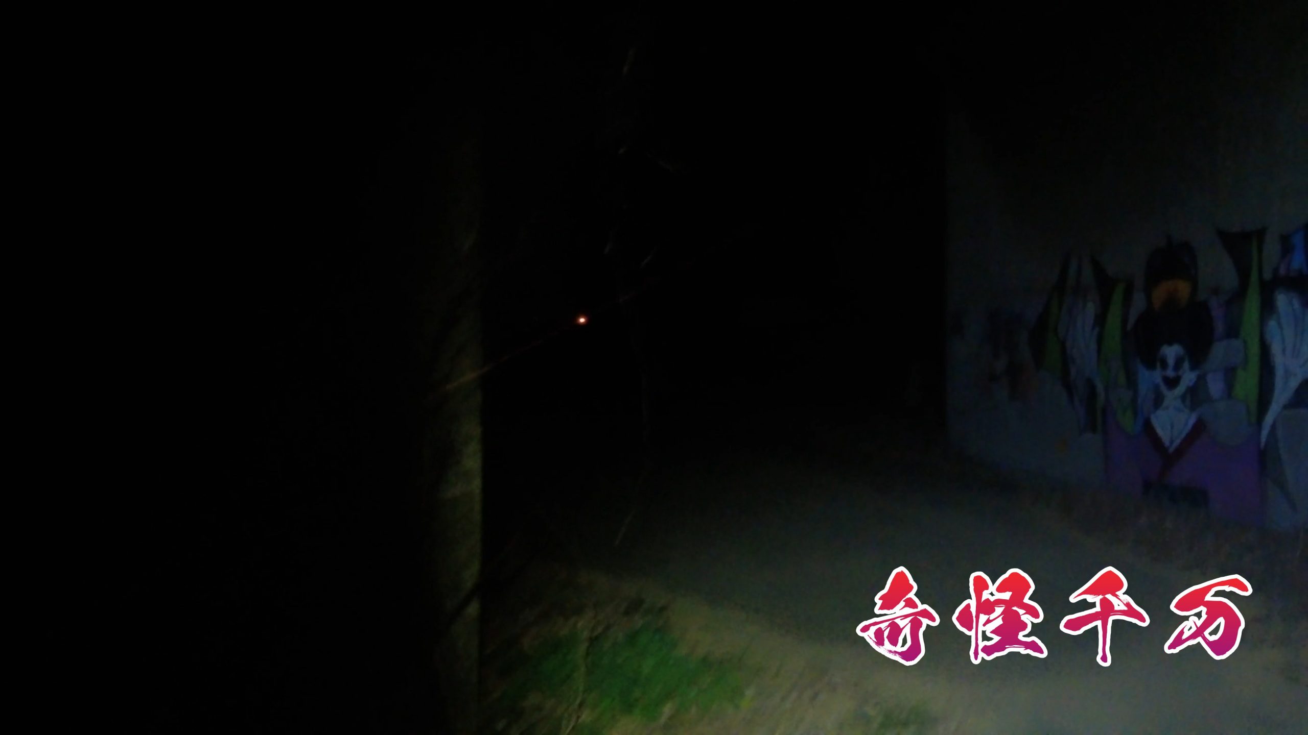 SnapShot(800).jpg