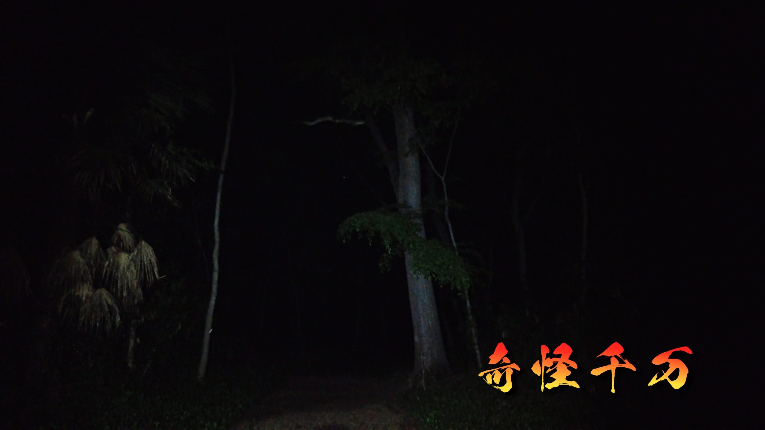 SnapShot(817).jpg