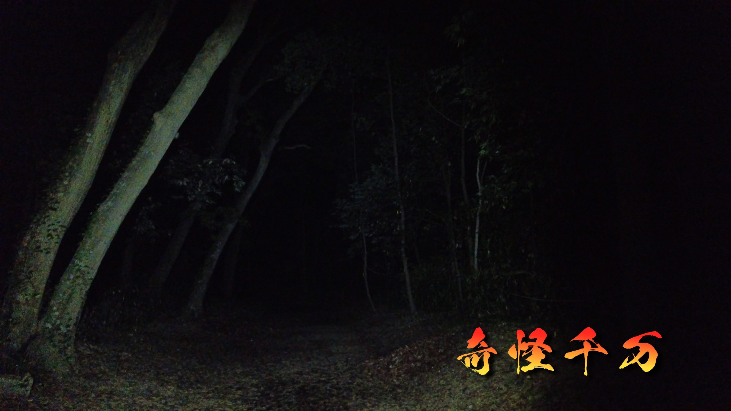 SnapShot(827).jpg