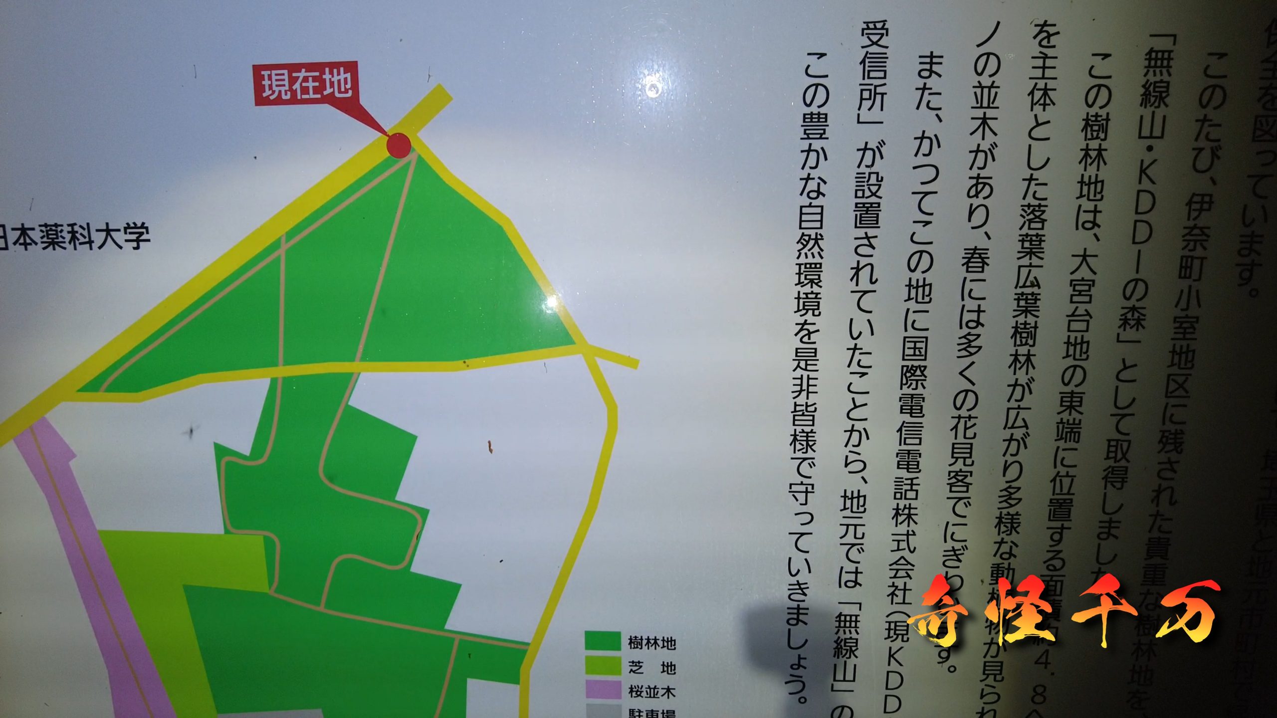 SnapShot(839).jpg