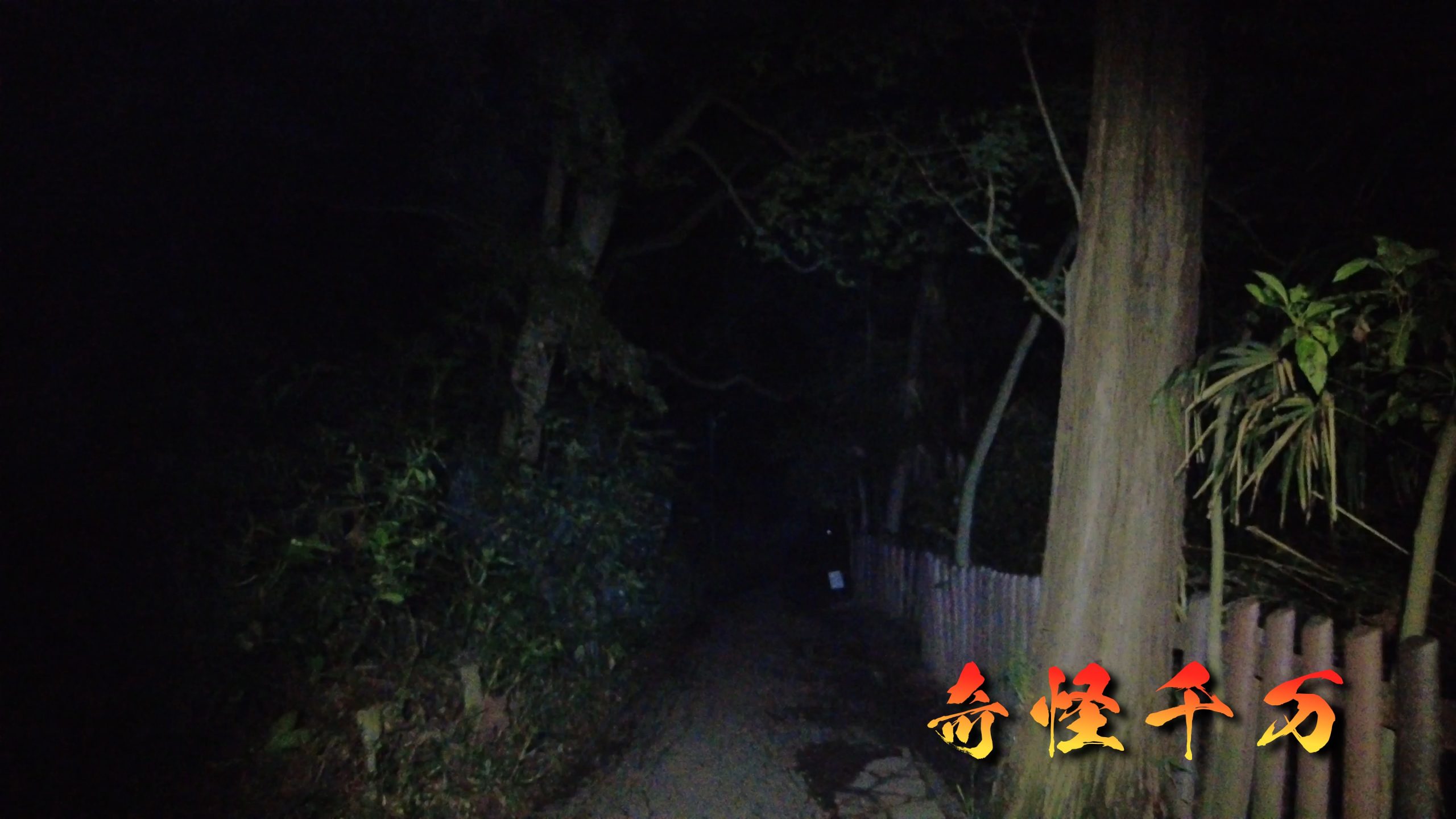 SnapShot(854).jpg