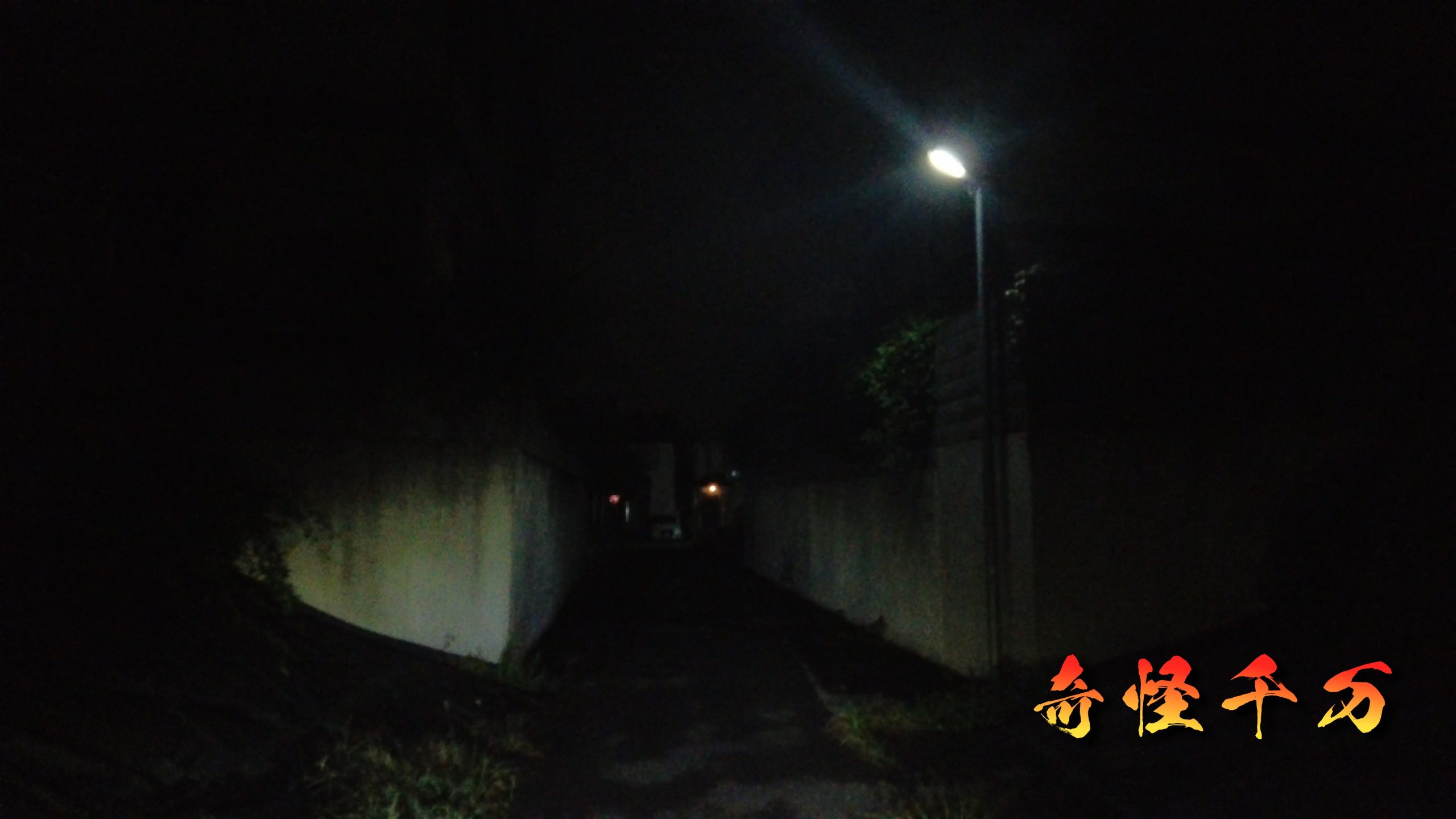 SnapShot(864).jpg