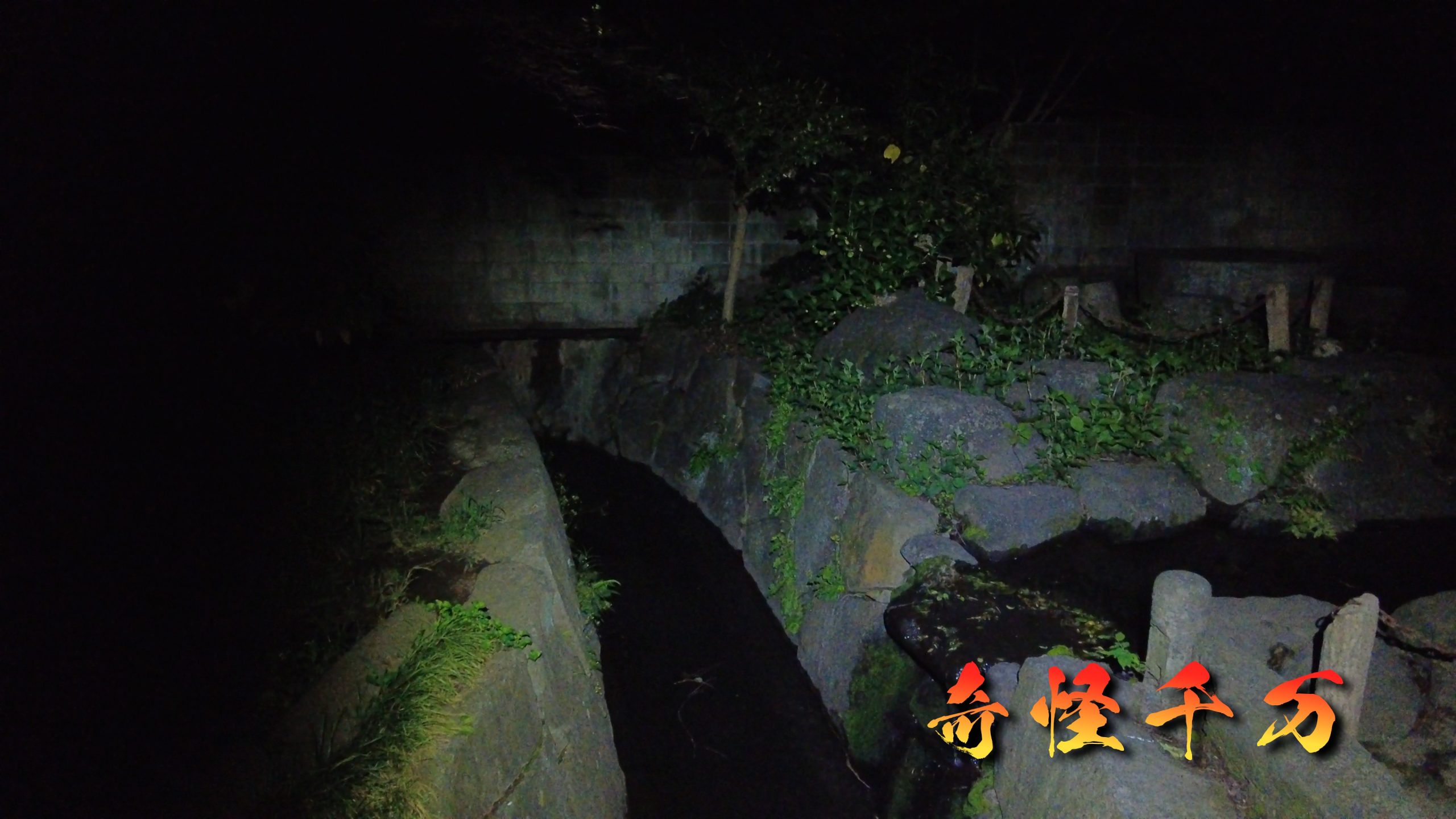 SnapShot(867).jpg