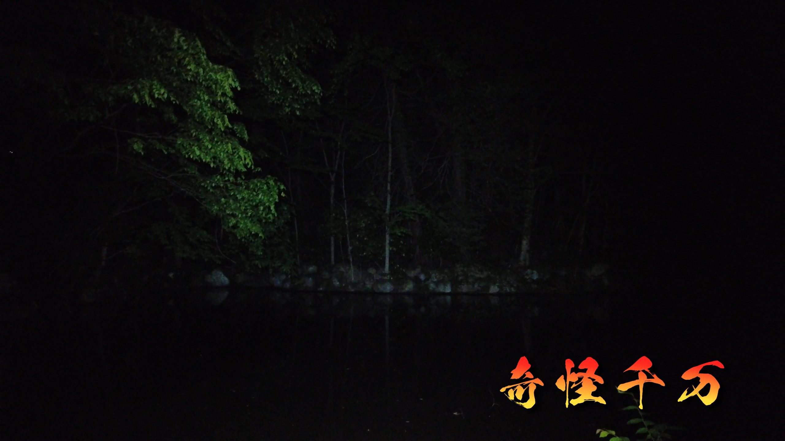 SnapShot(871).jpg