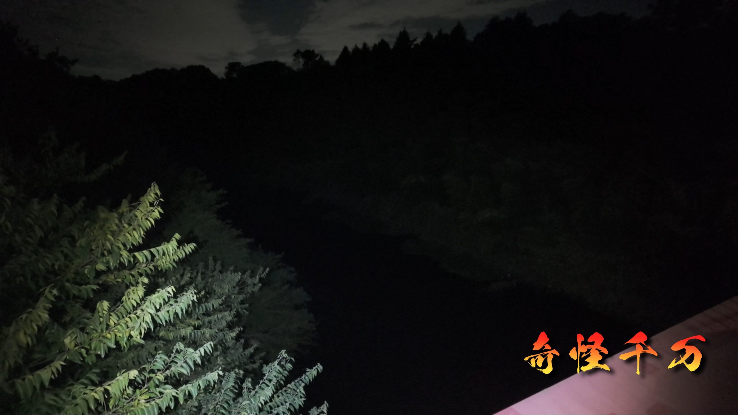 SnapShot(1031).jpg