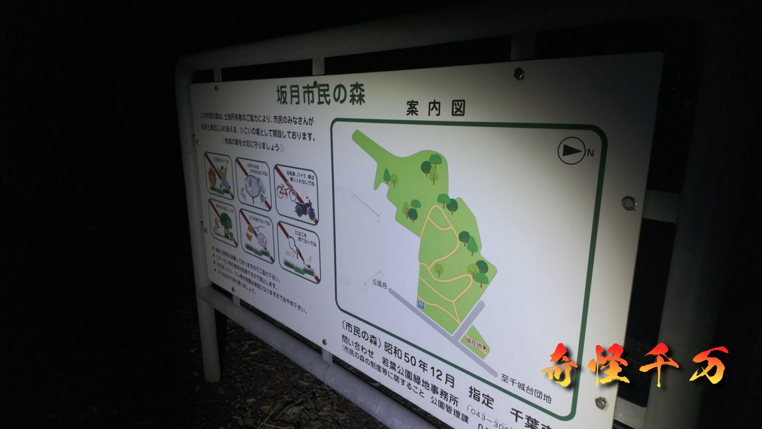 SnapShot(1078).jpg