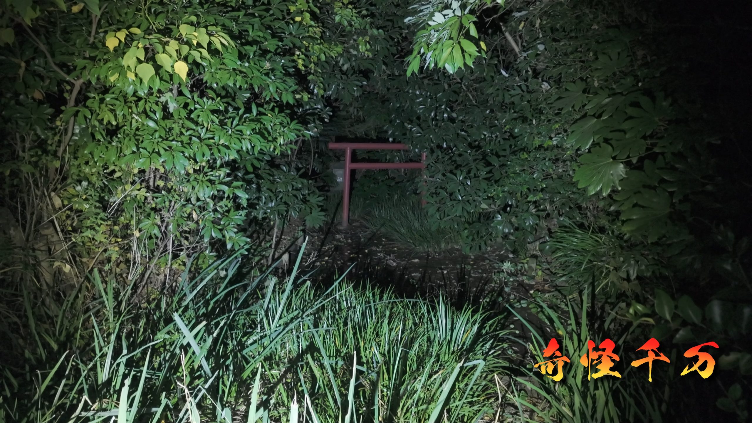 SnapShot(1094).jpg