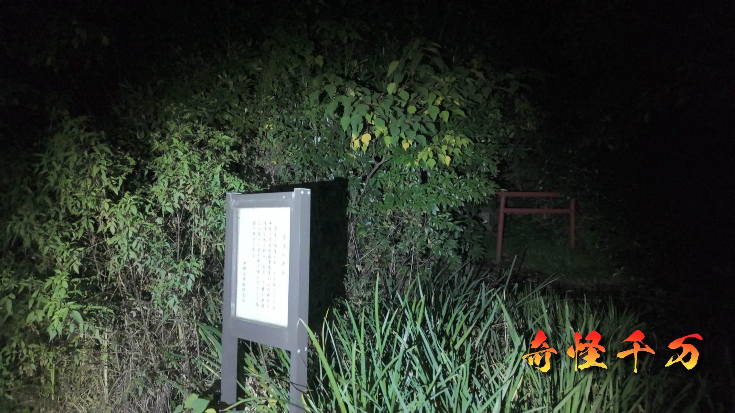 SnapShot(1098).jpg