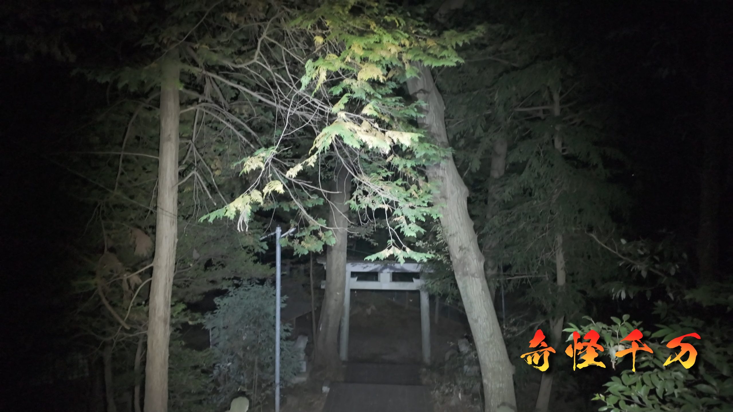 SnapShot(1118).jpg