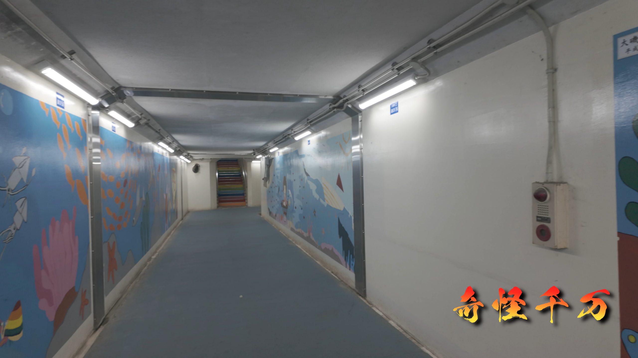 夢の地下道 現地調査
