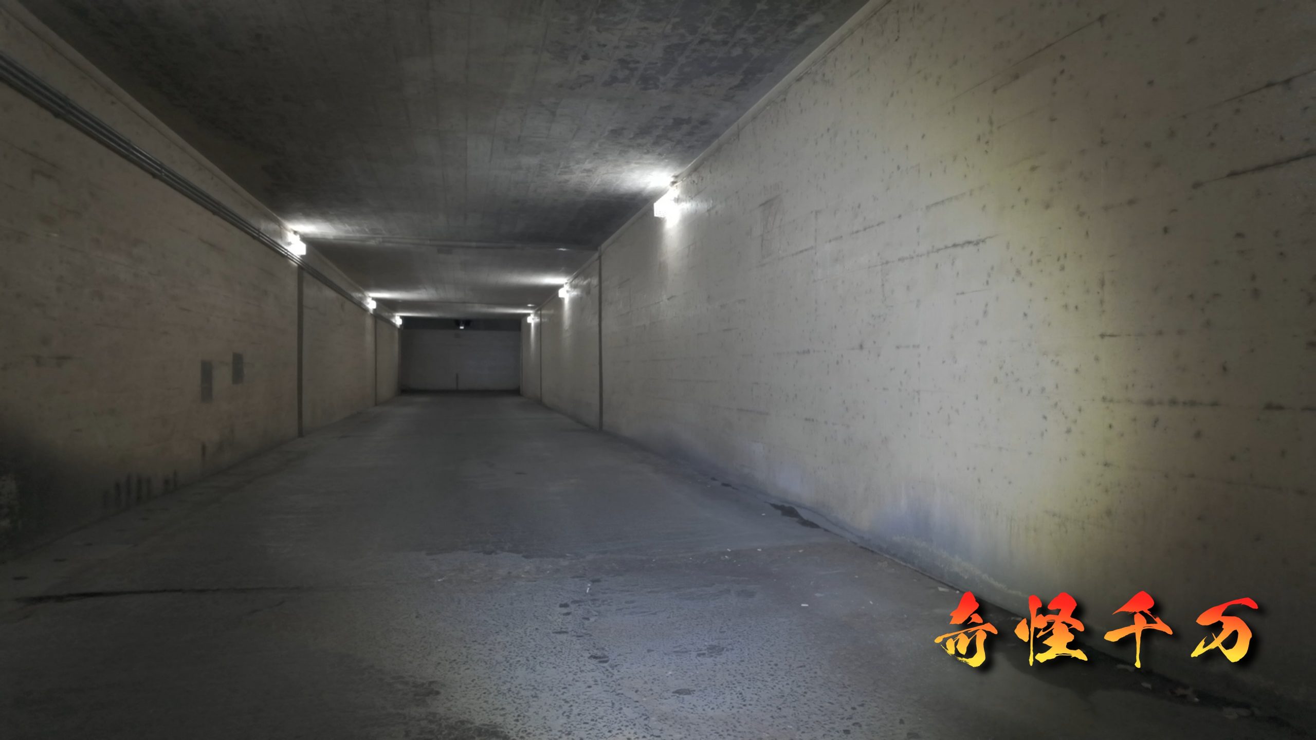 明照寺地下道 現地調査