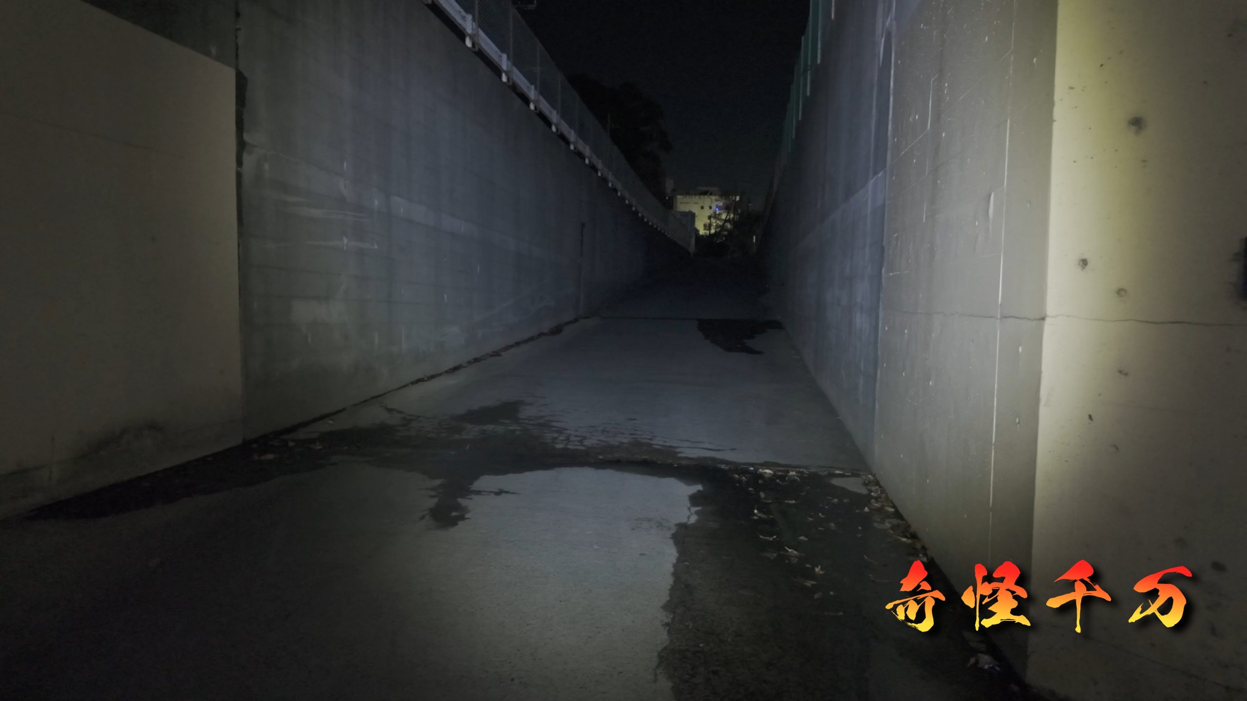 明照寺地下道 現地調査