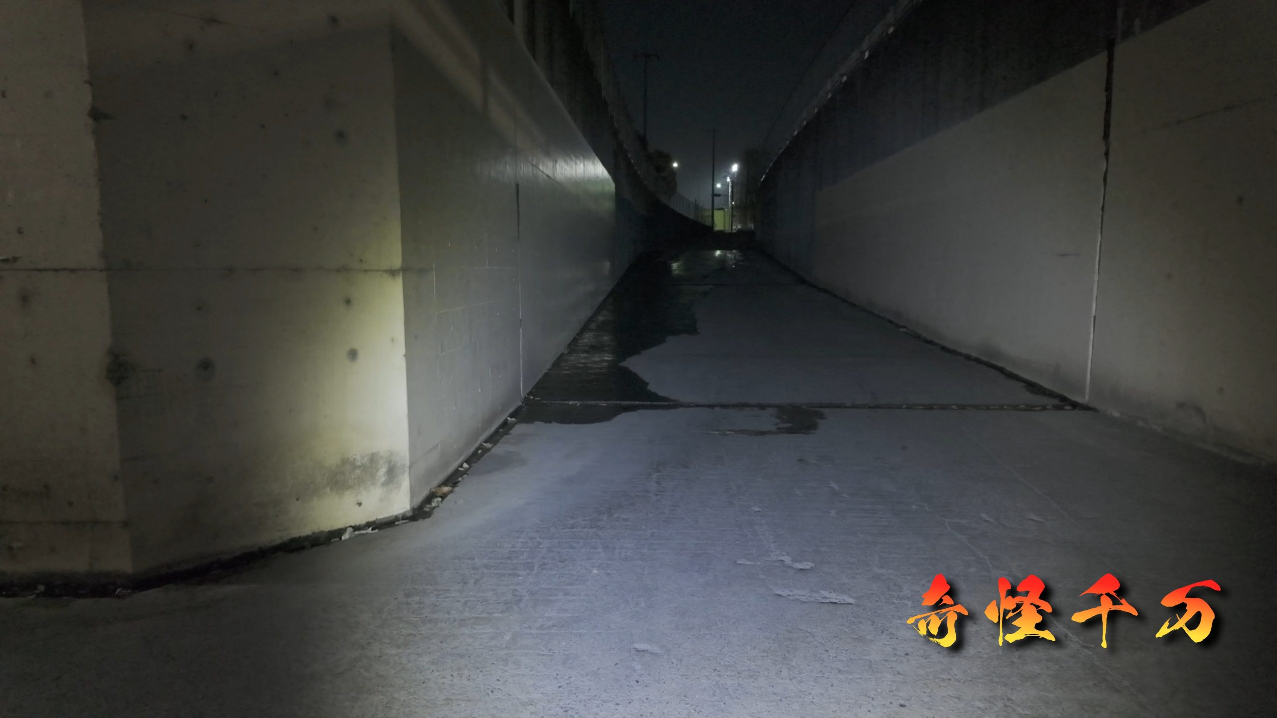 明照寺地下道 現地調査