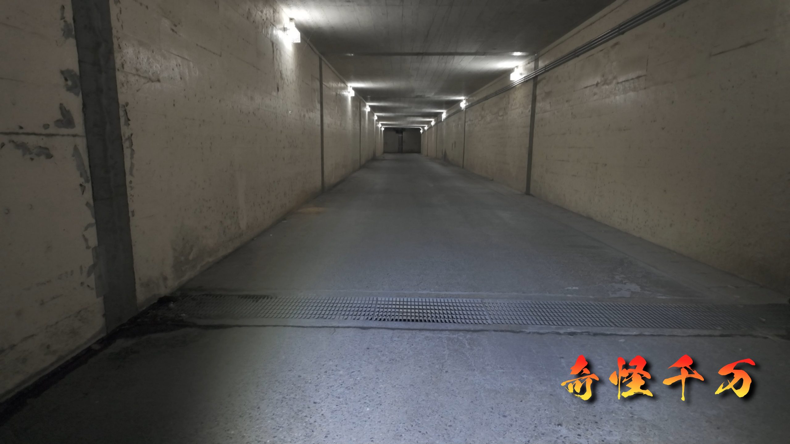 明照寺地下道 現地調査