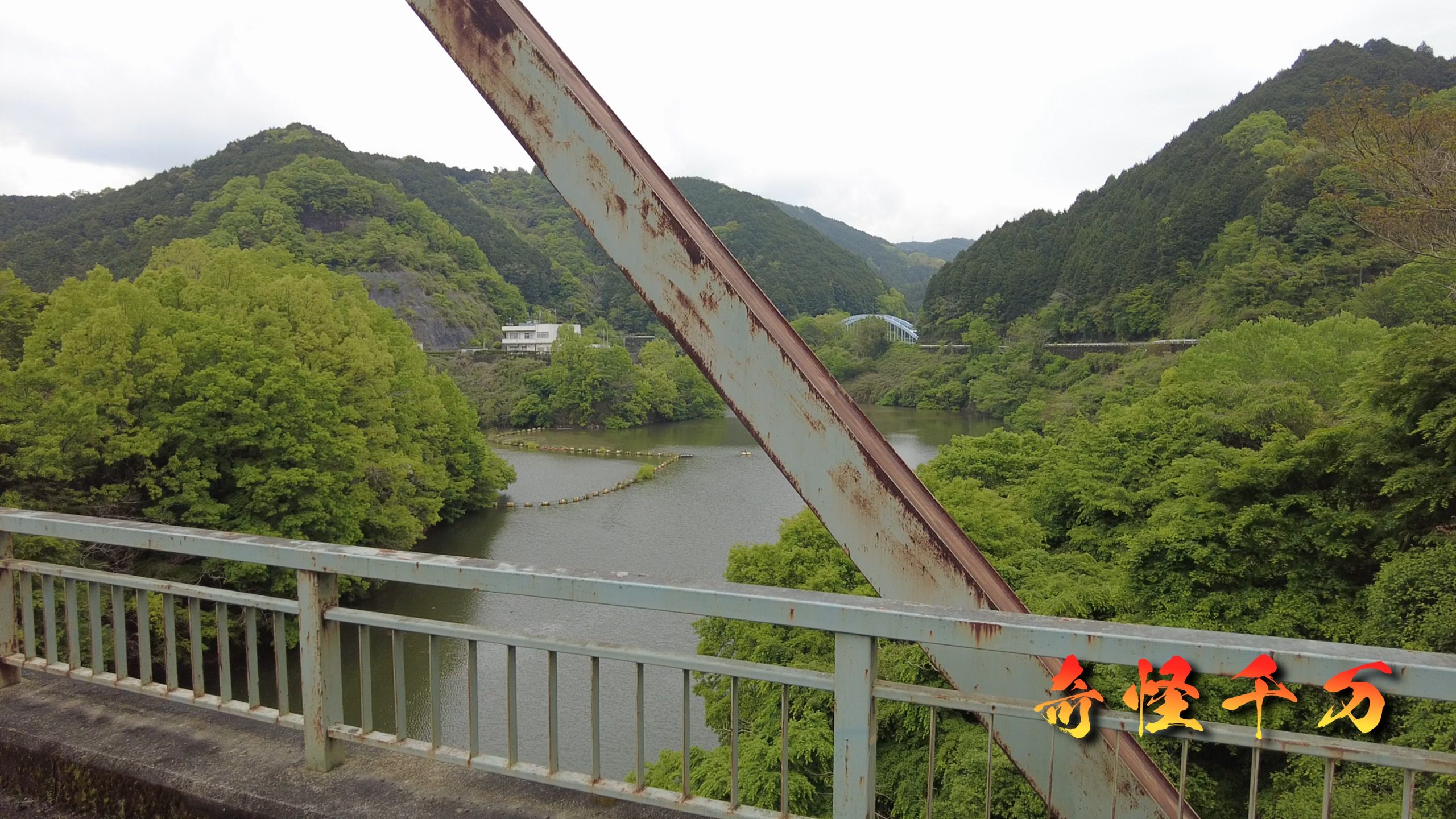 SnapShot(137).jpg
