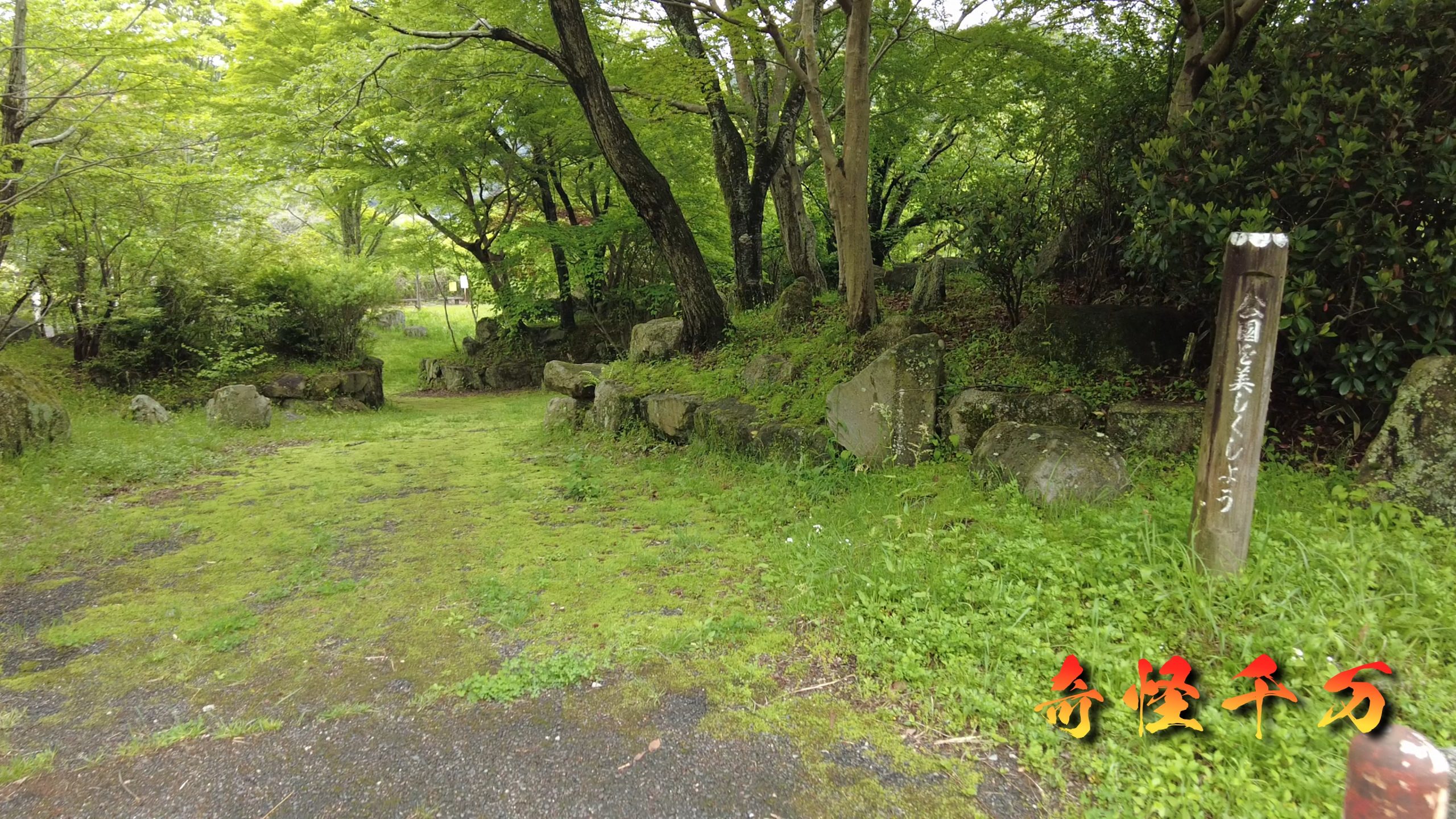 SnapShot(140).jpg