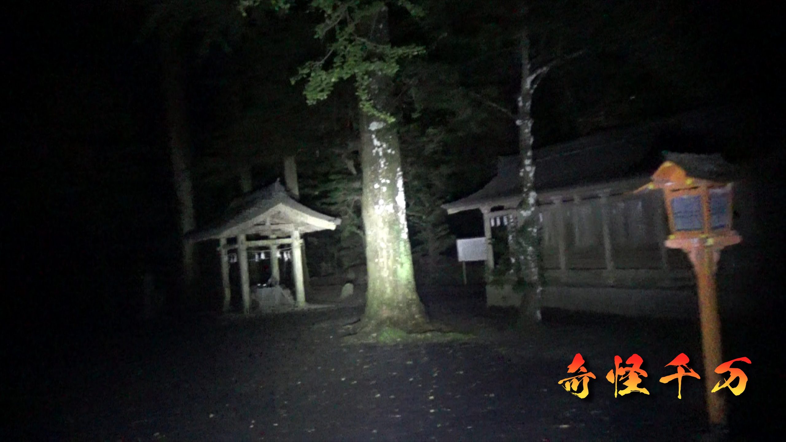 SnapShot(200).jpg