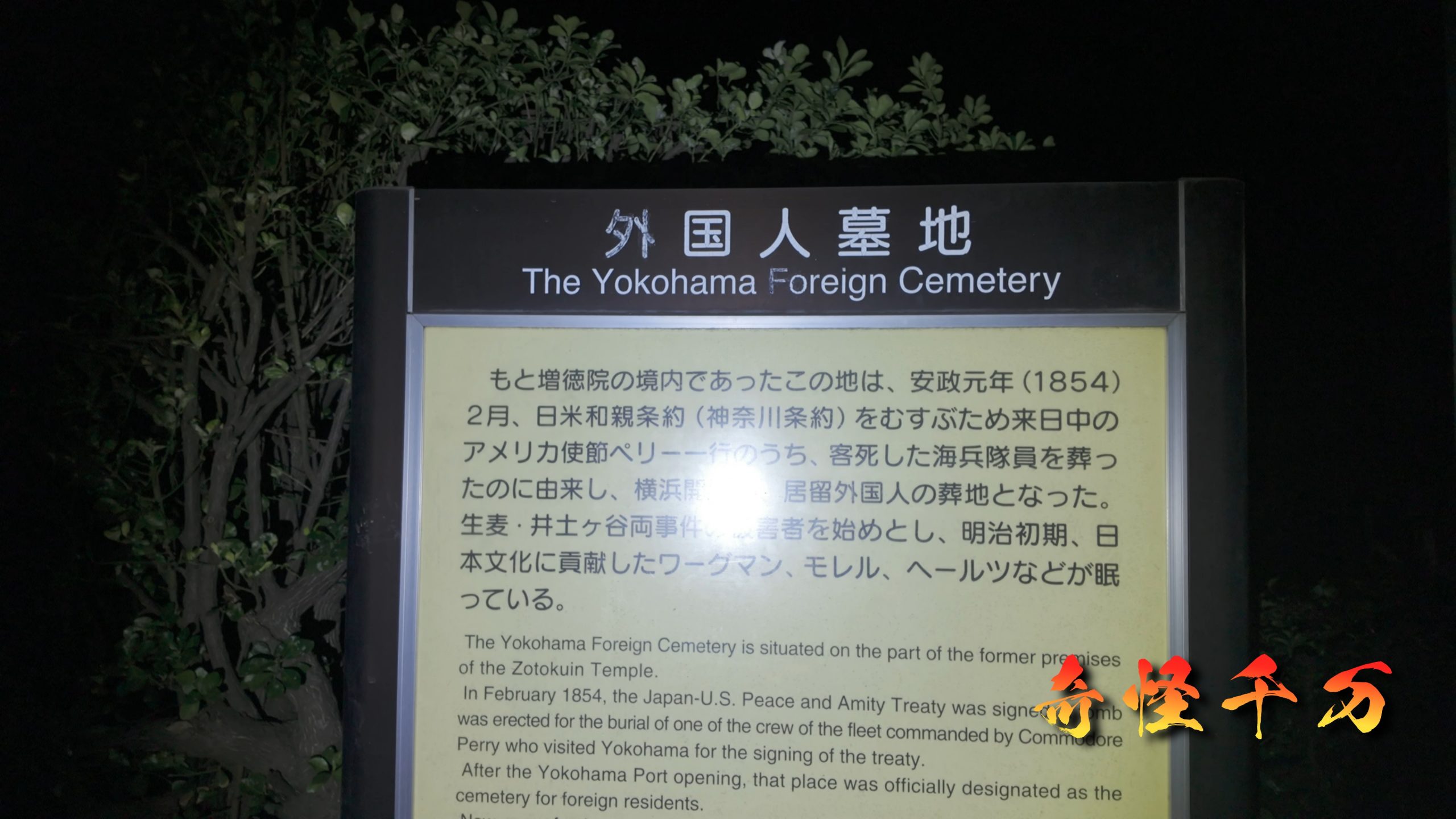 SnapShot(204).jpg