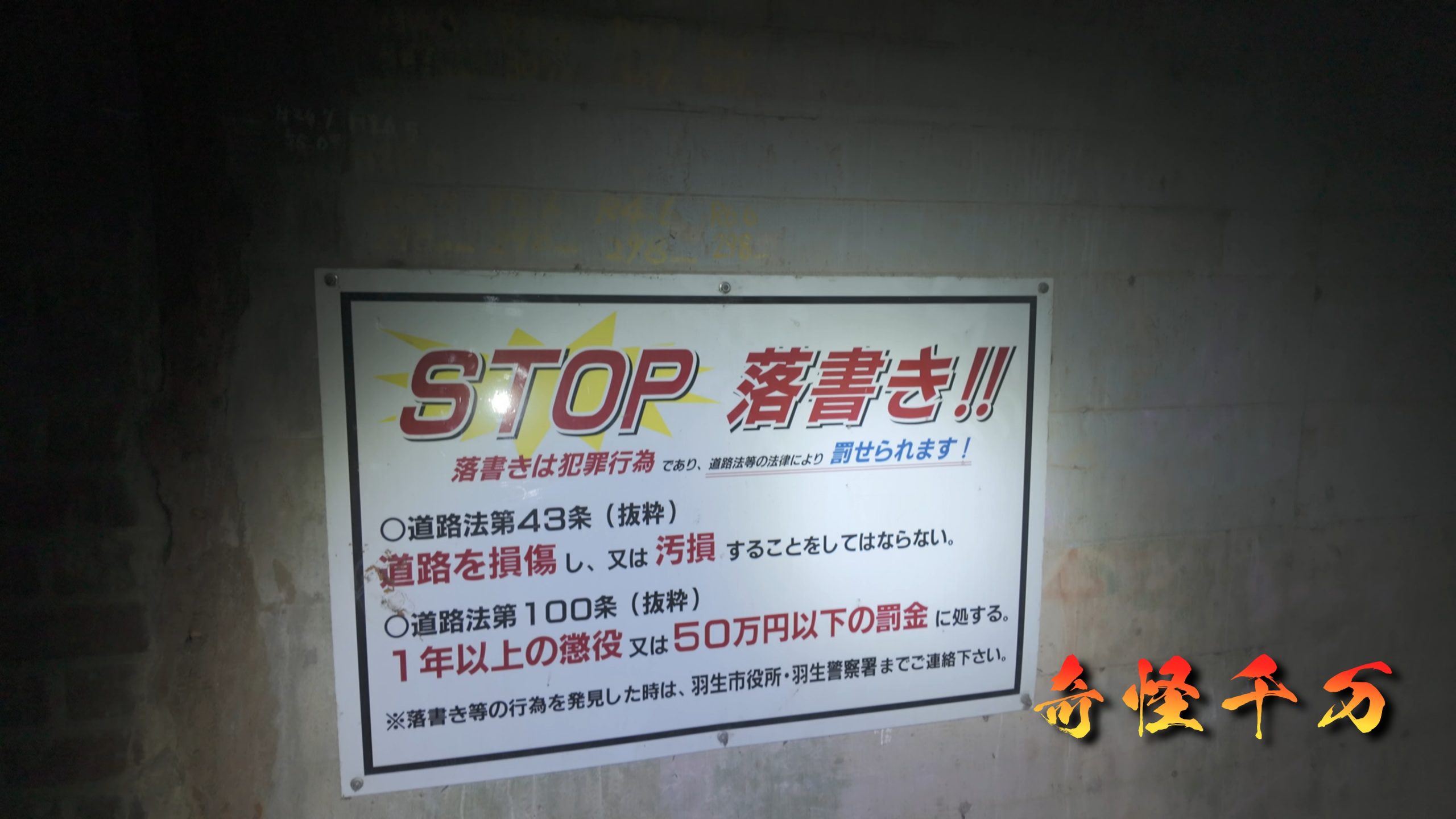 SnapShot(231).jpg