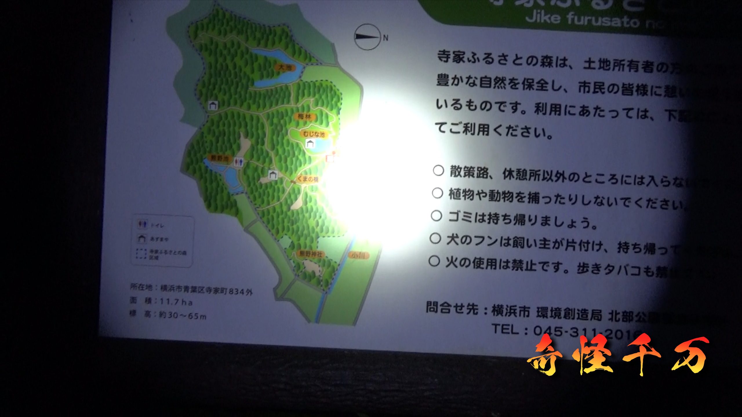 SnapShot(320).jpg