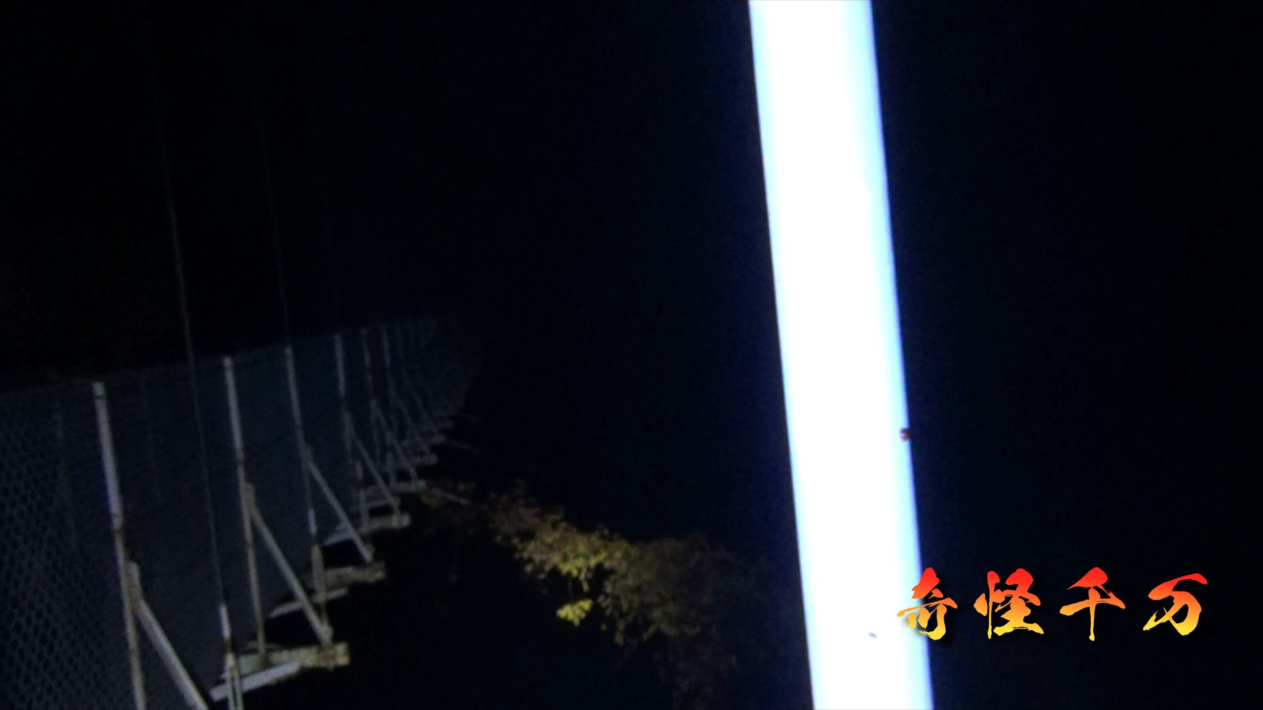 SnapShot(64).jpg
