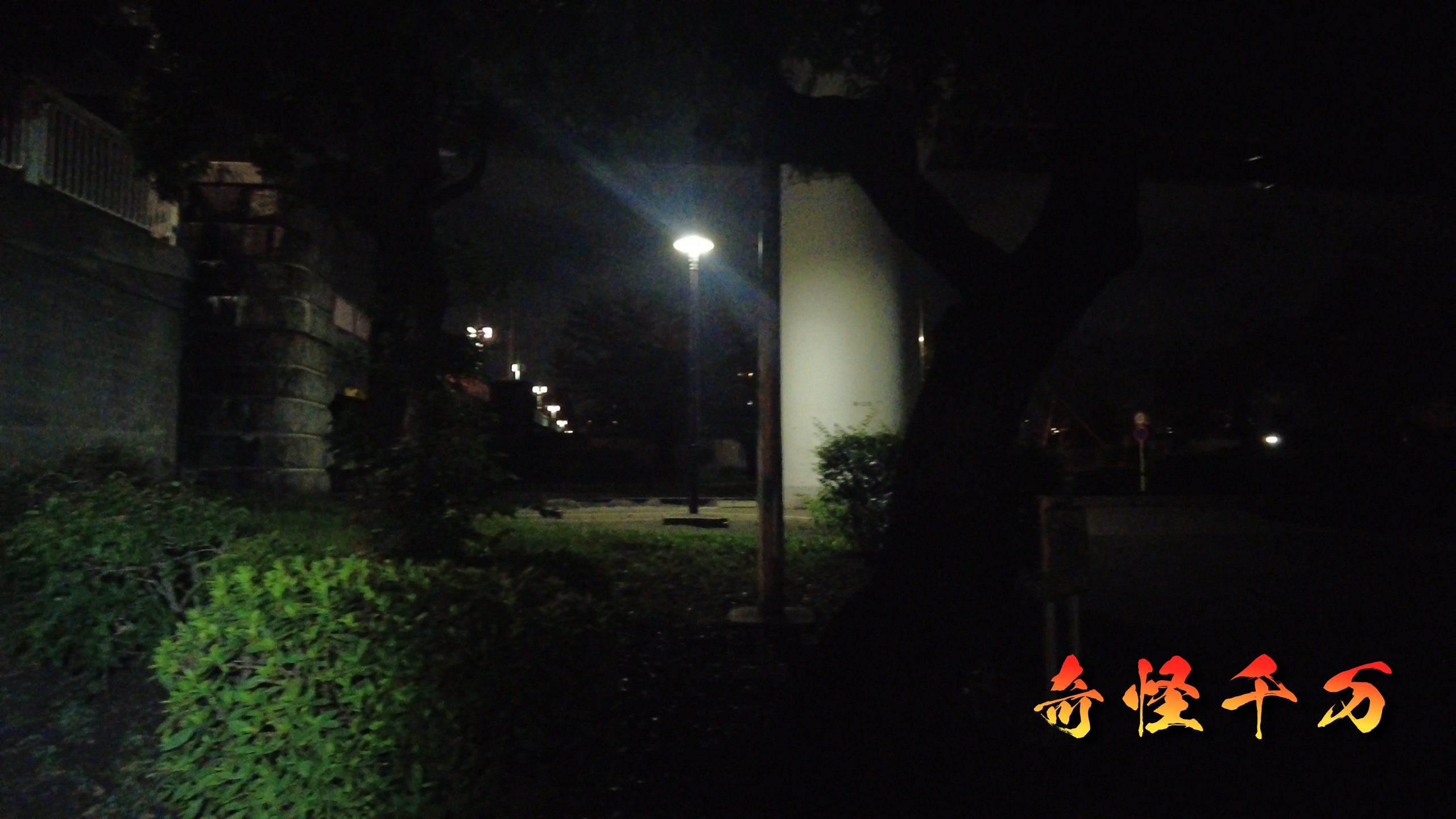 SnapShot(939).jpg
