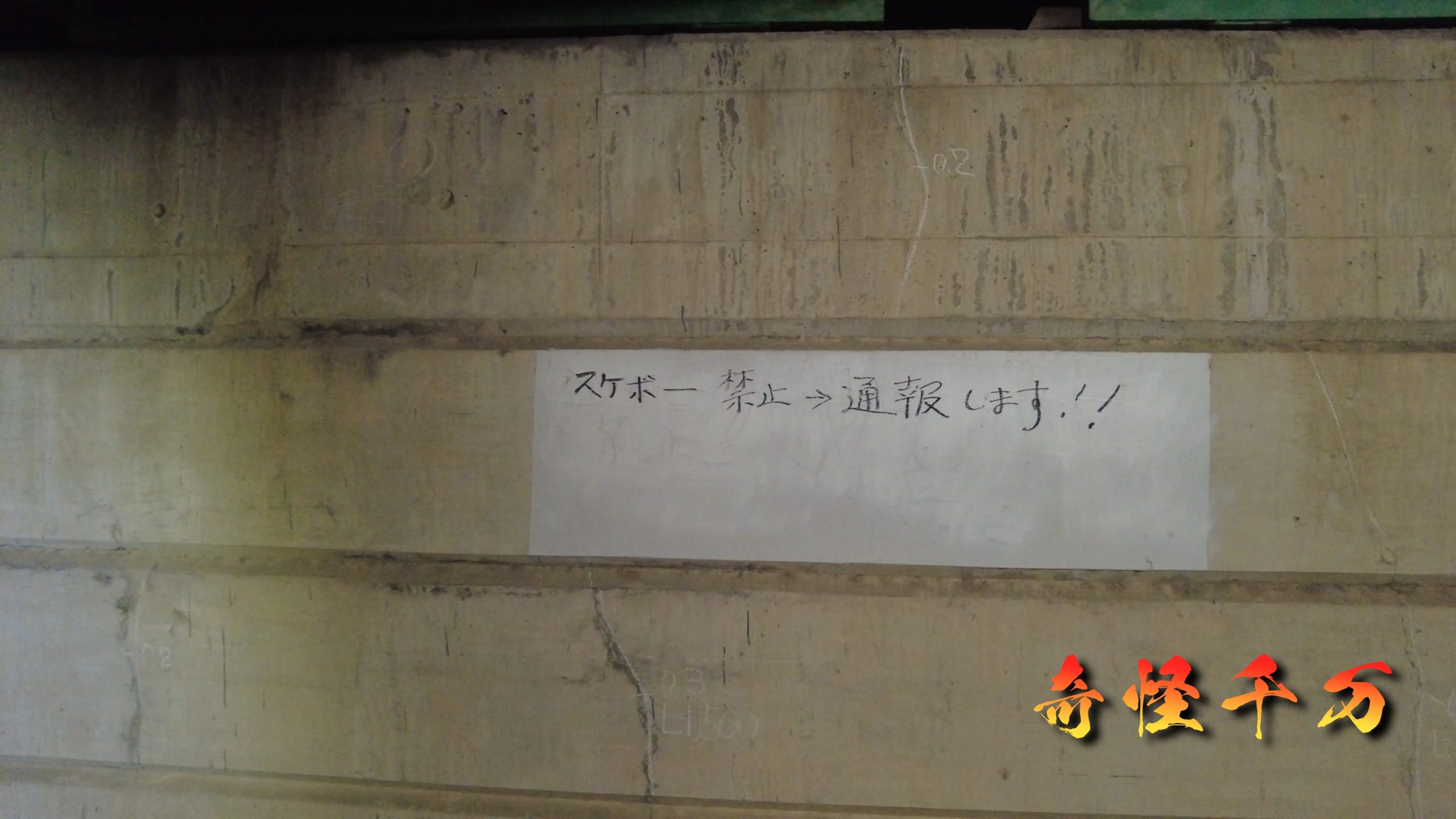 SnapShot(944).jpg